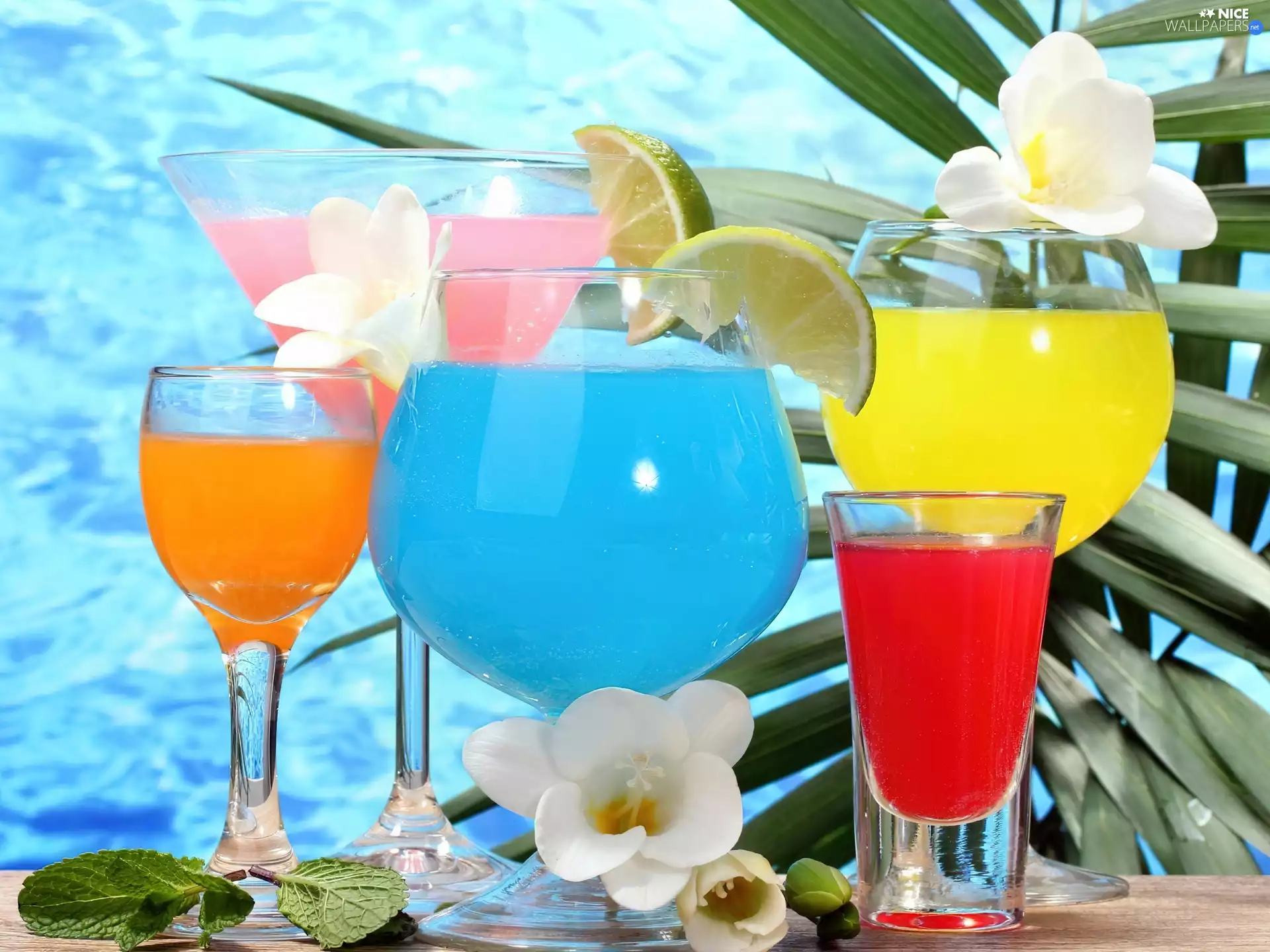 decor, color, drinks