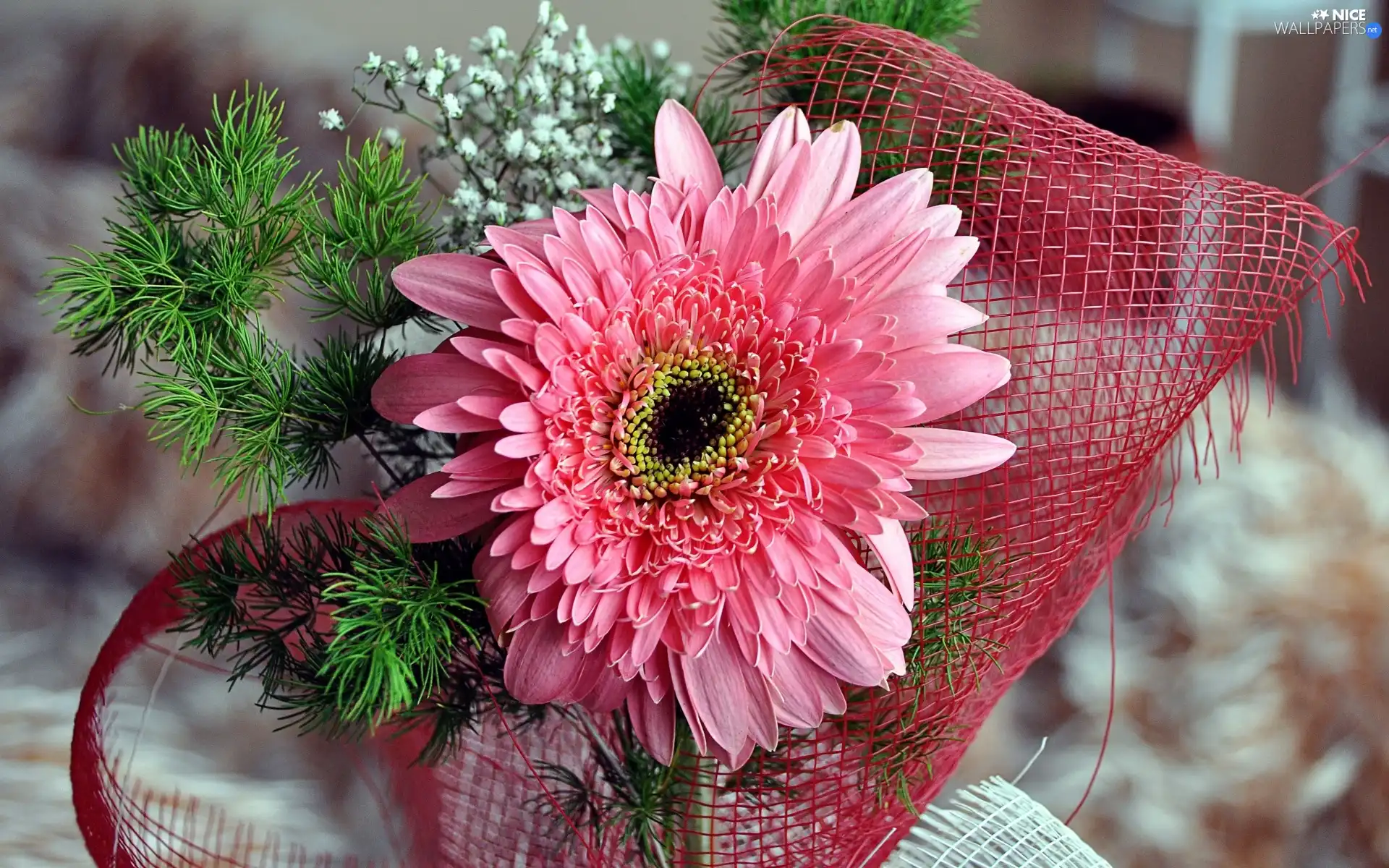 decoration, Pink, Gerbera