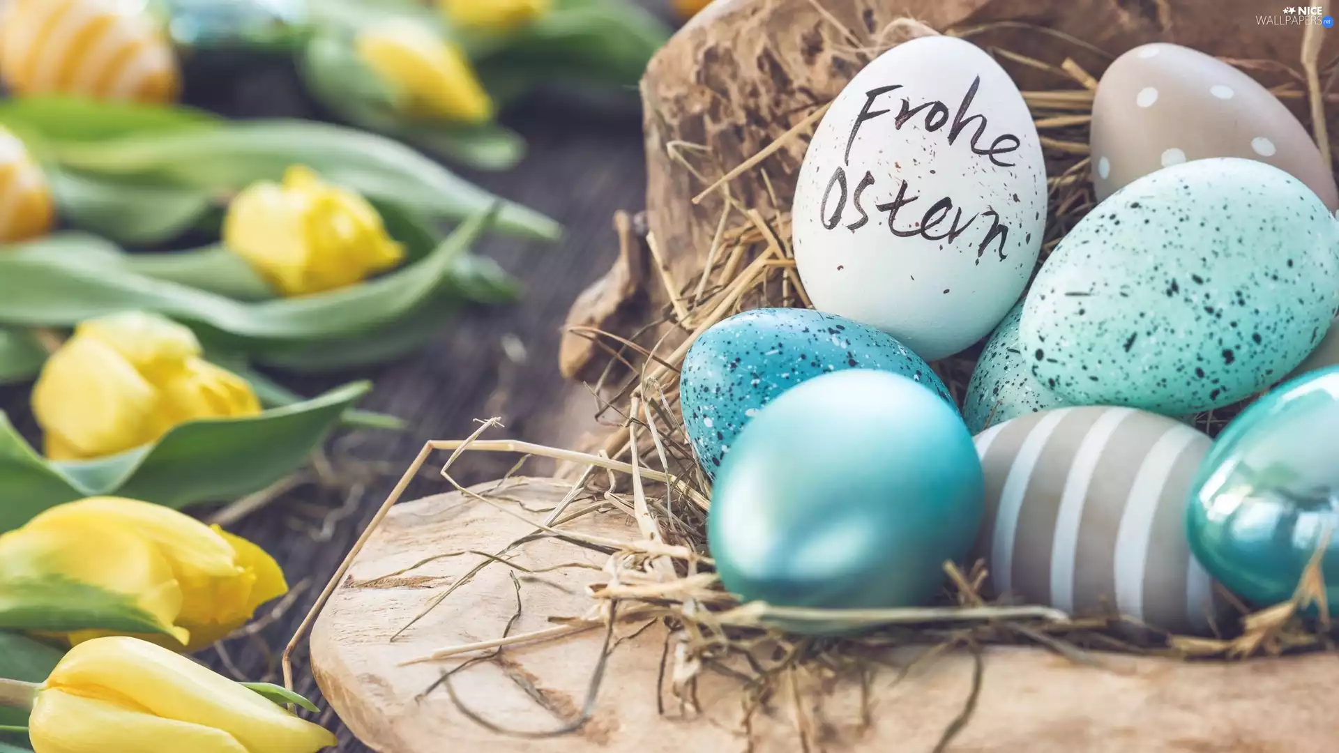 decoration, Easter, eggs, eggs, text, Frohe Ostern, Tulips, Wishes, Yellow