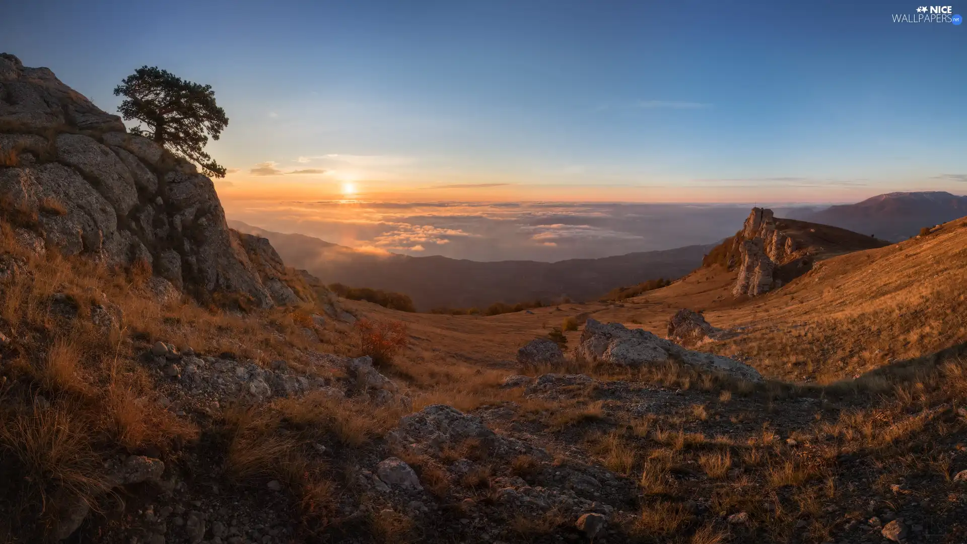 Demerji Mountain, trees, Crimea, grass, Sunrise, Crimean Mountains, autumn, rocks