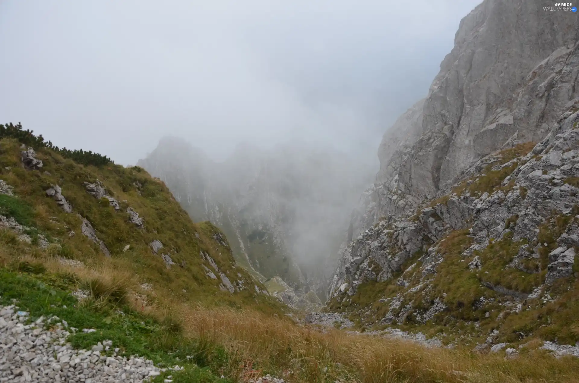 Mountains, Steep, descent, Fog