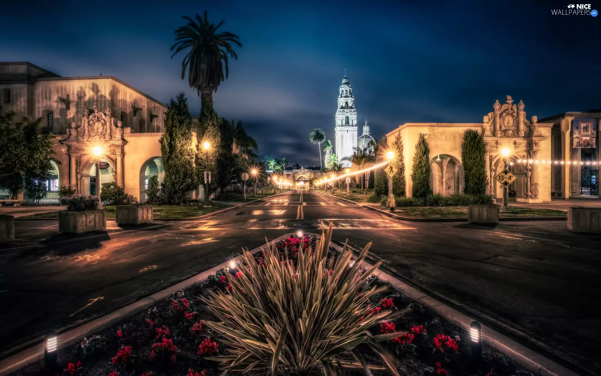 Night, Street, San Diego, Balboa Park, California