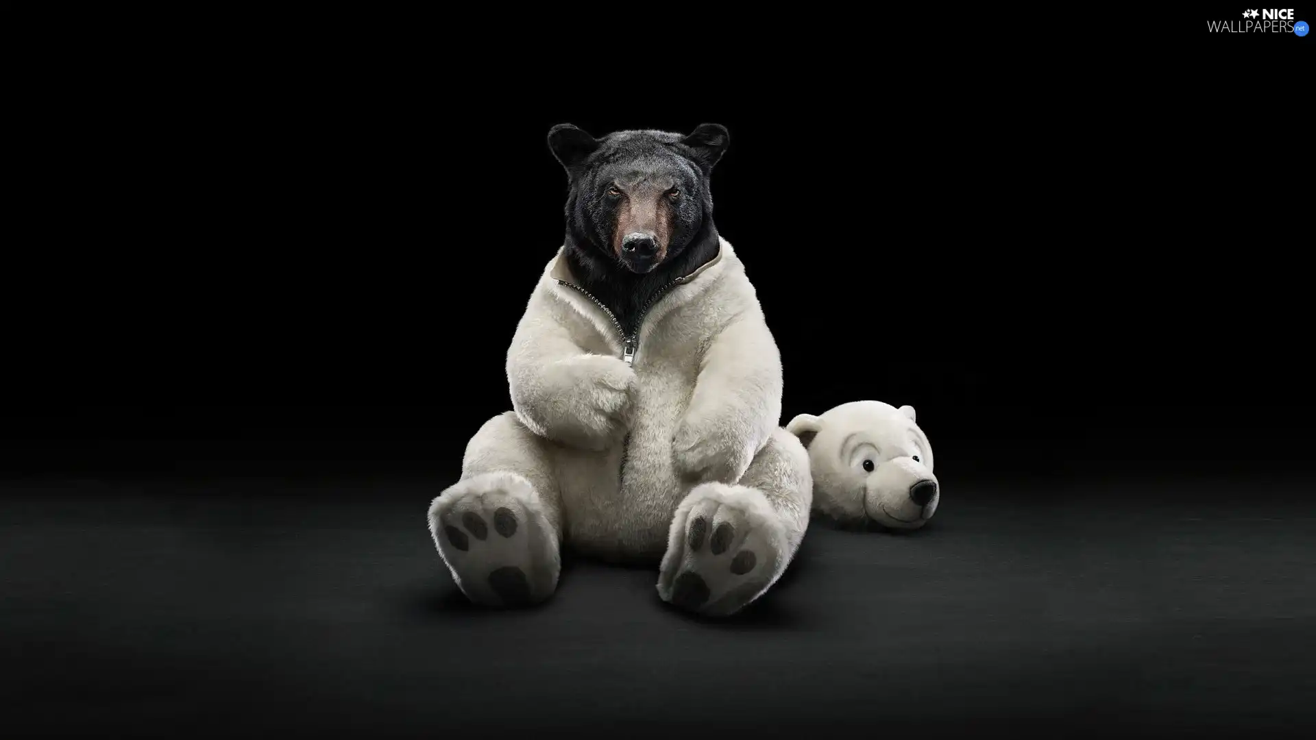 Bear, disguise