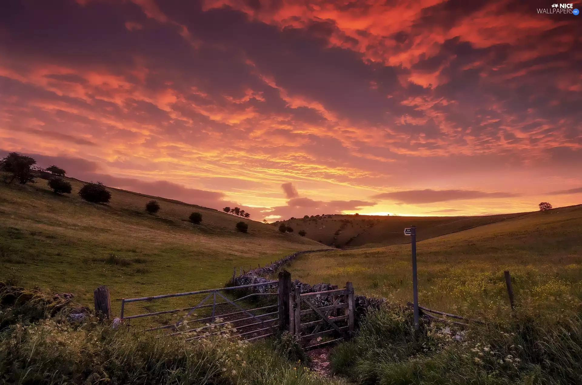 Sunrise, England, trees, The Hills, Peak District National Park, fence, viewes