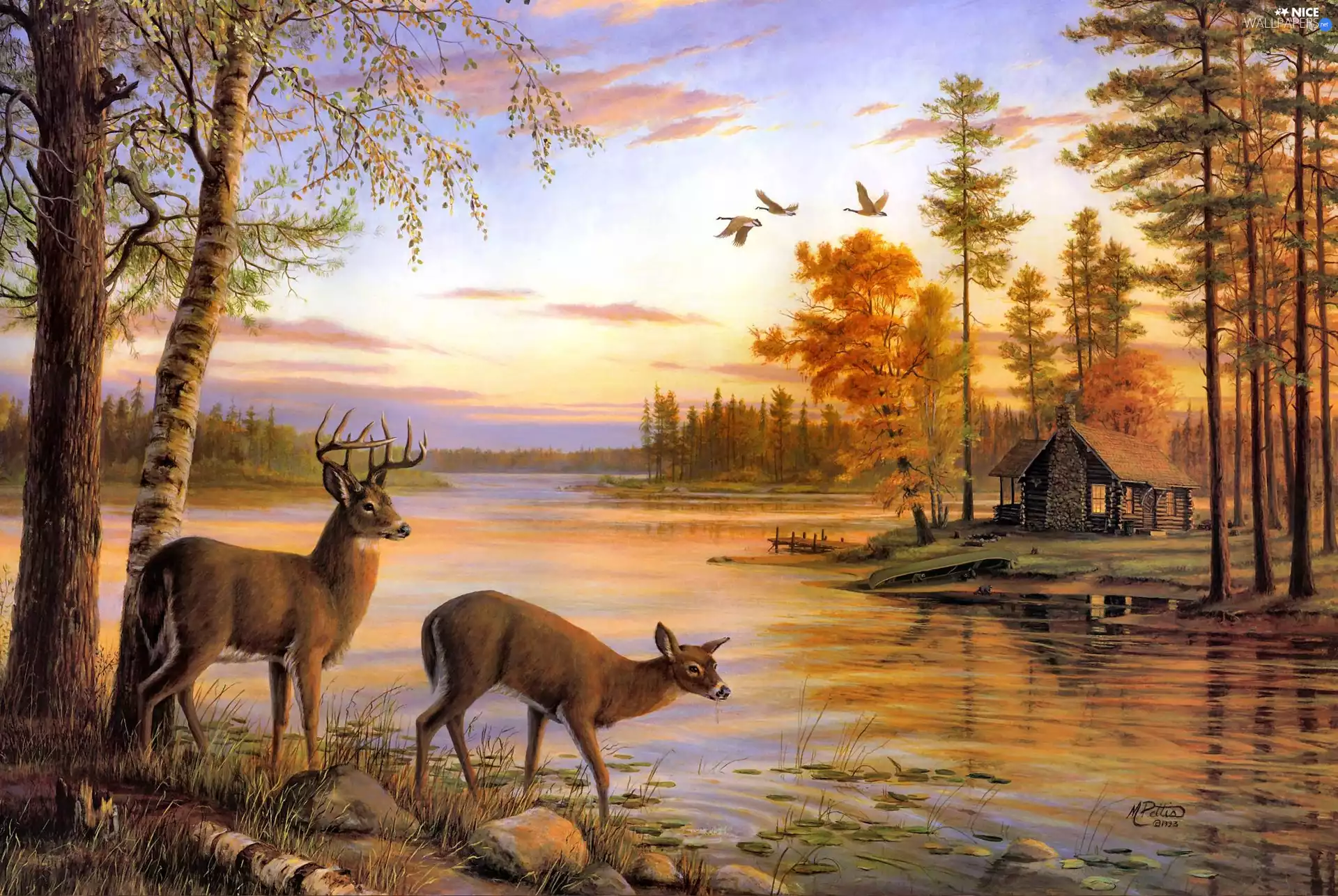 Home, Mary Pettis, doe, water, deer