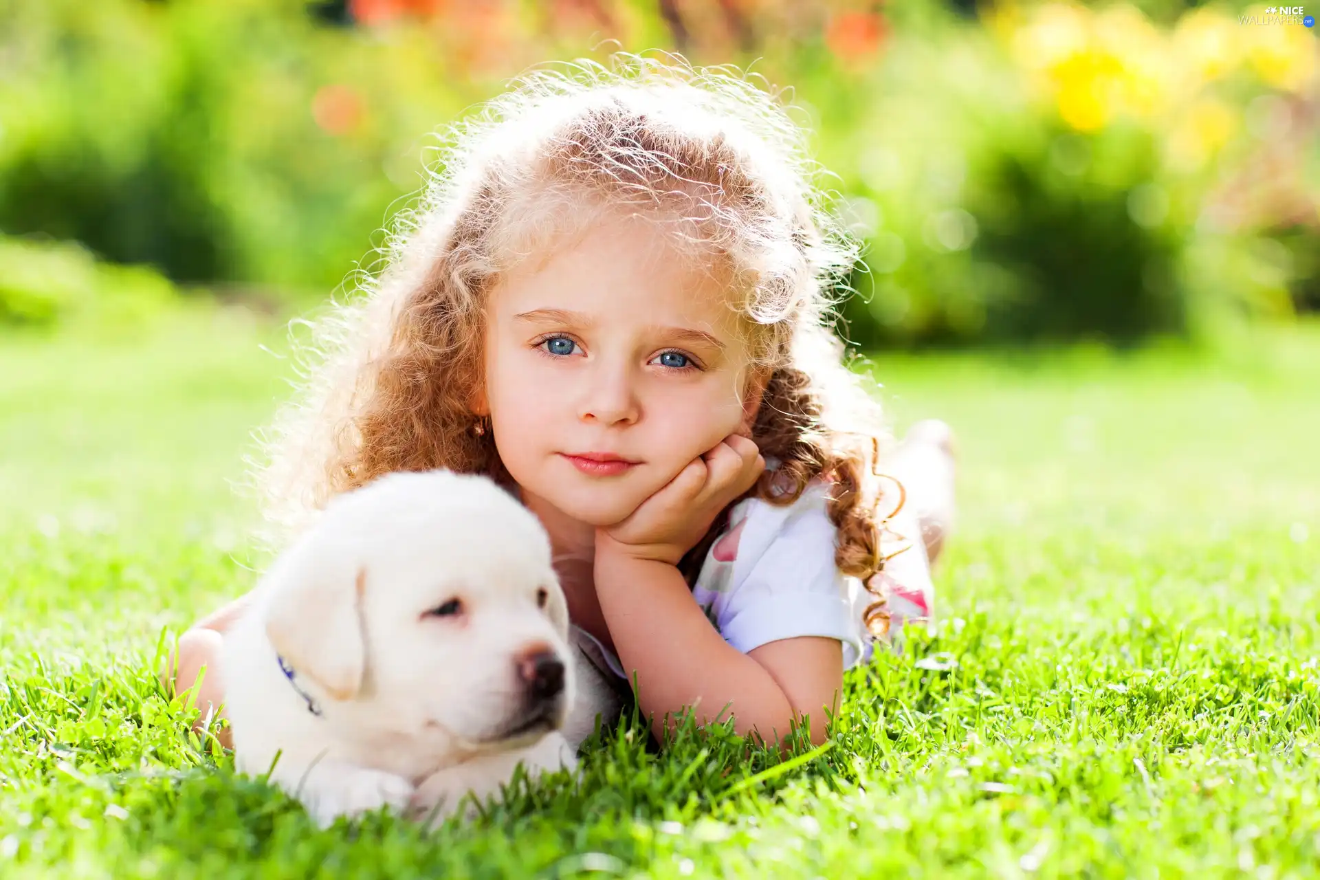 girl, puppie, grass, dog