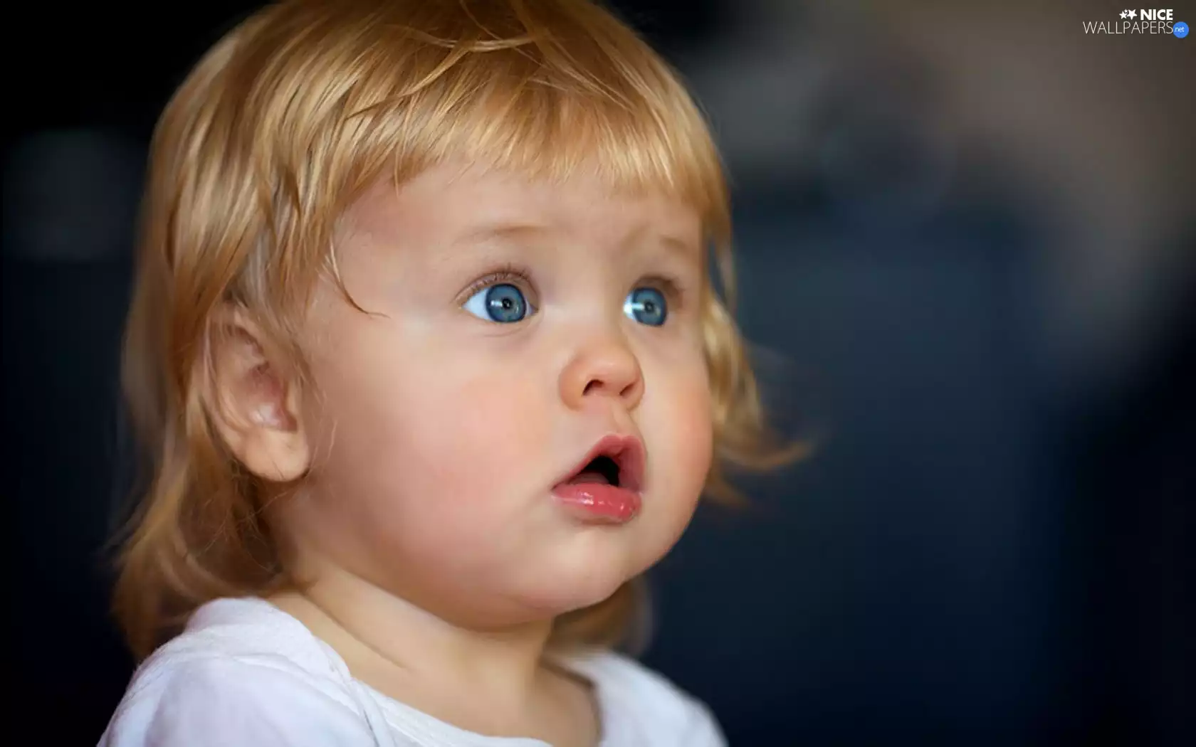 little doggies, Blue, Eyes, Kid