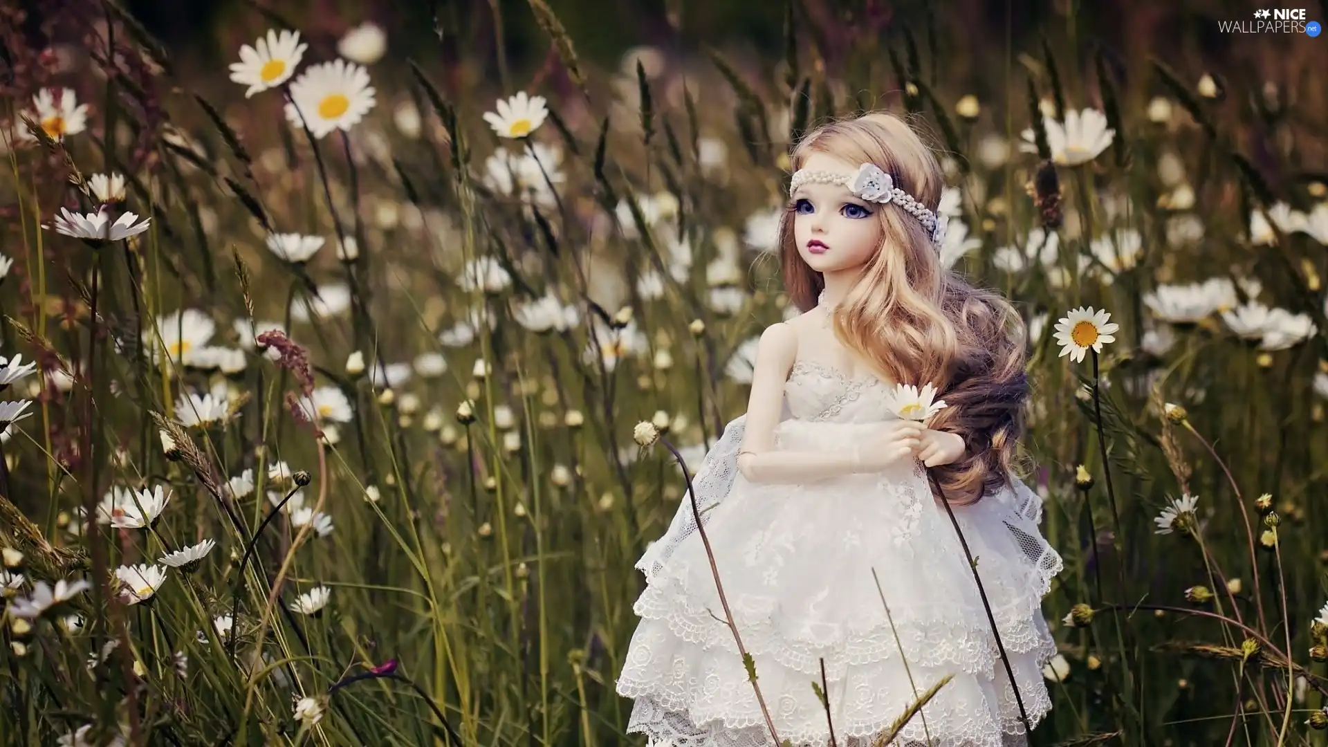 Meadow, doll