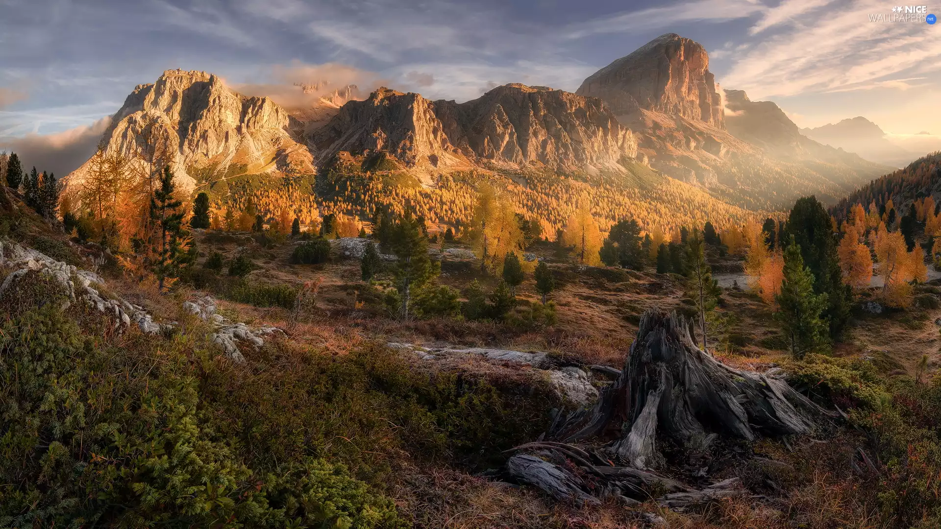 Dolomites, autumn, Italy, trees, root, Mountains, Falzarego Pass, viewes