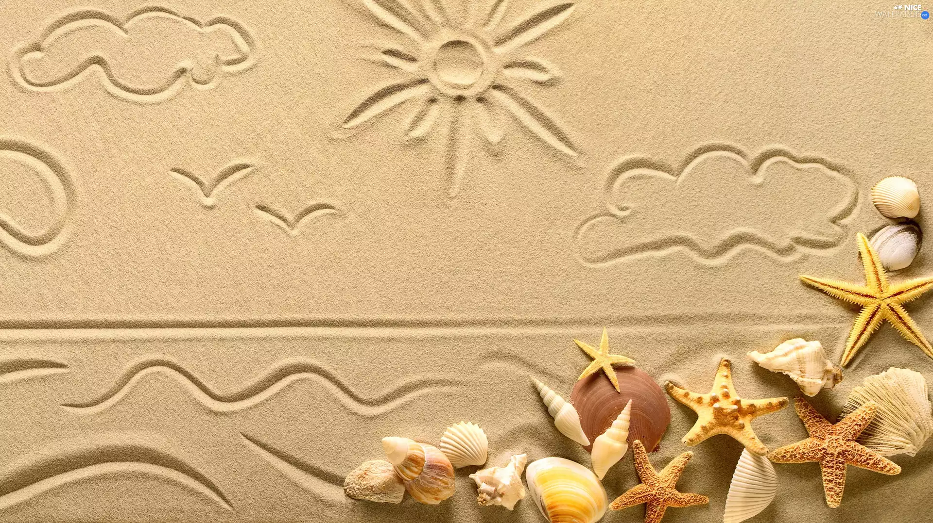 Sand, Shells, starfish, Drawing