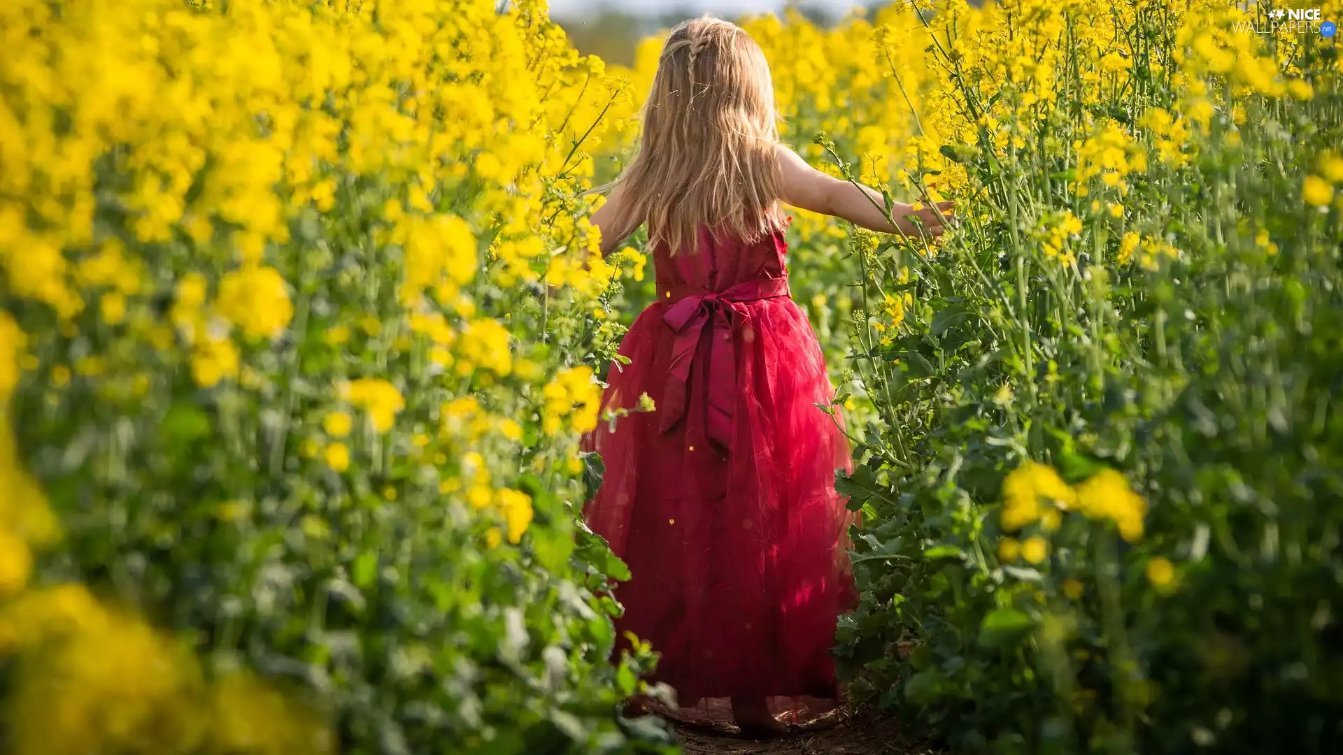 girl, dress, rape, red hot