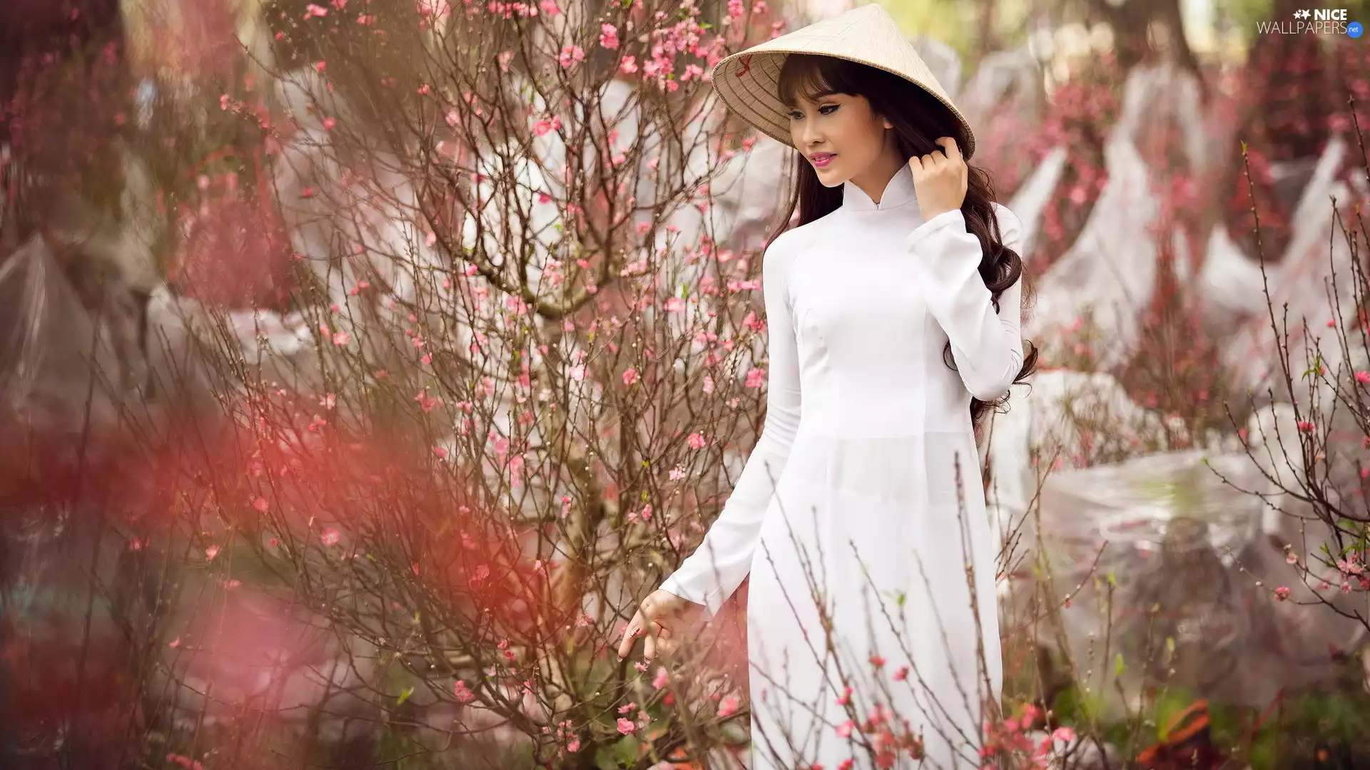 White, Dress, Women, Hat, Asian