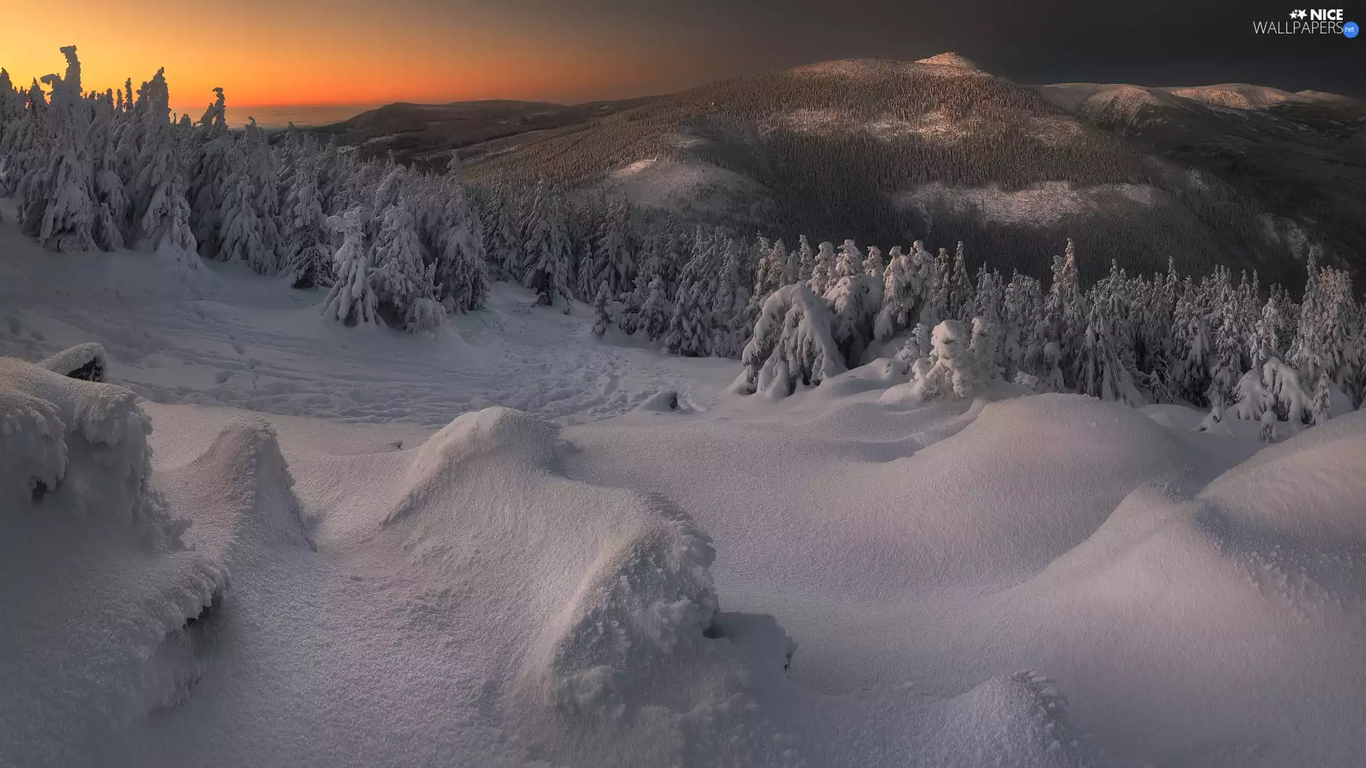 drifts, winter, snow, trees, Giant Mountains, Poland, Mountains, forest, viewes
