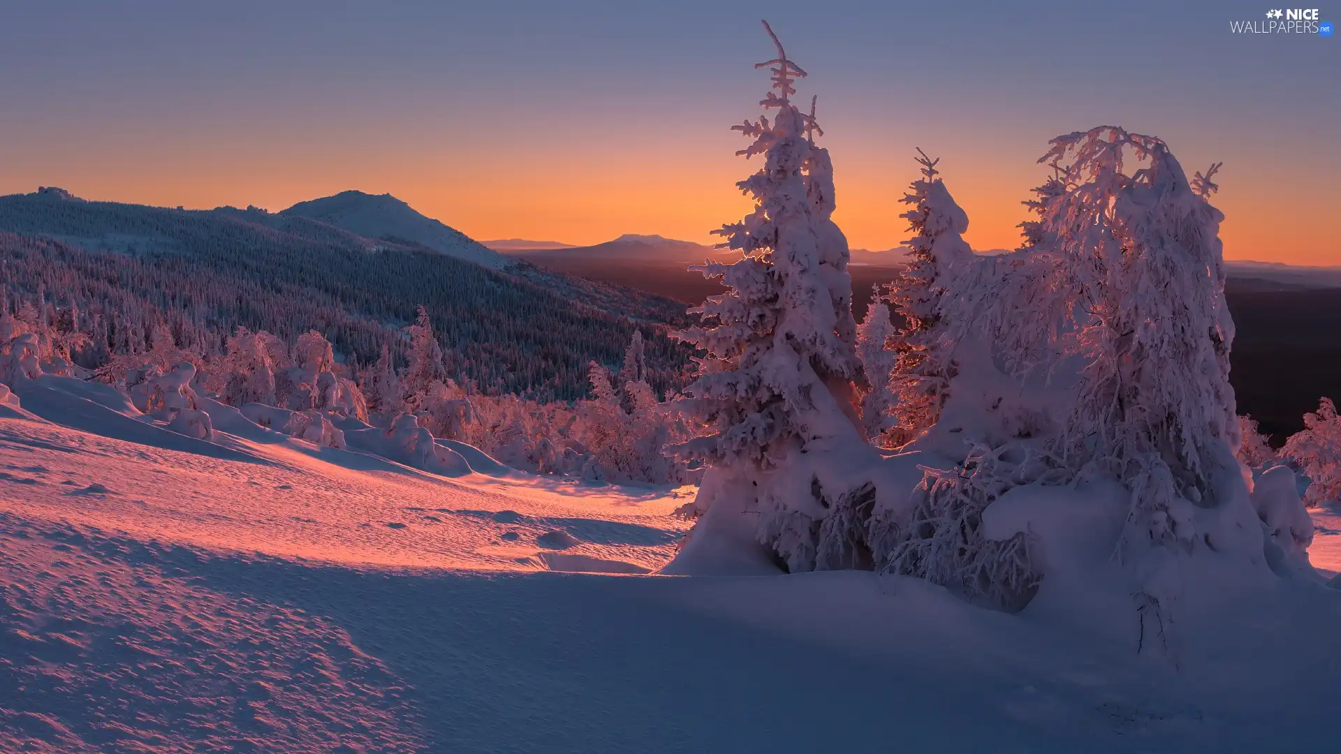 trees, winter, Mountains, drifts, viewes, snow