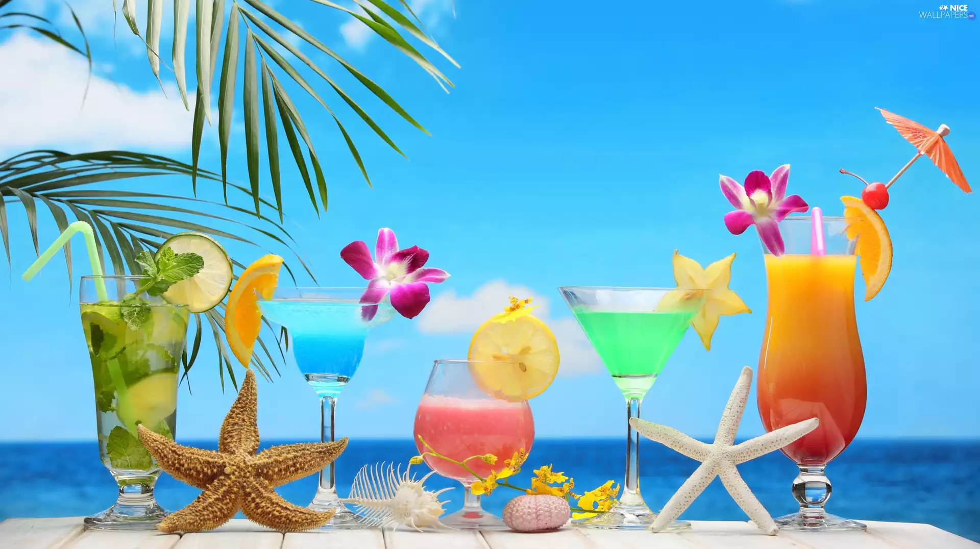 color, starfish, holiday, drinks