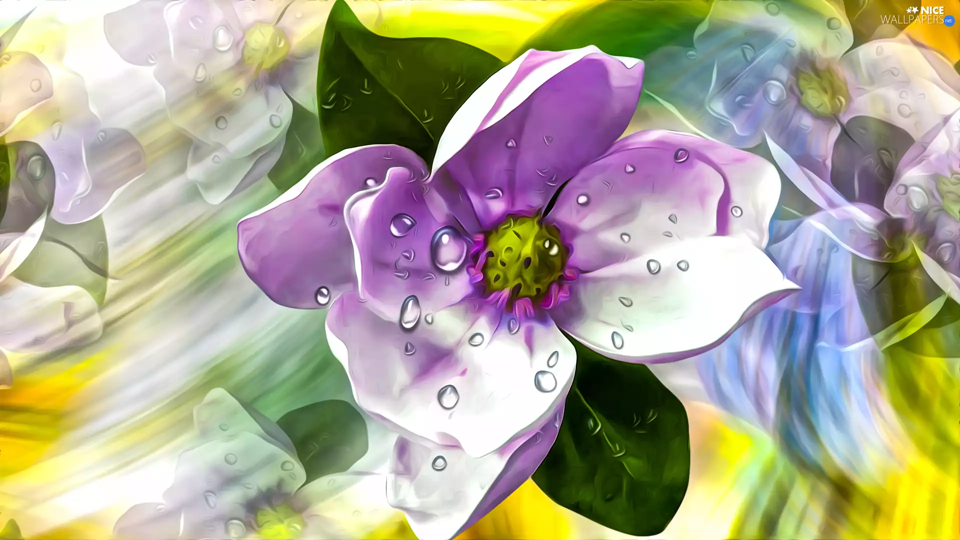 graphics, Colourfull Flowers, drops