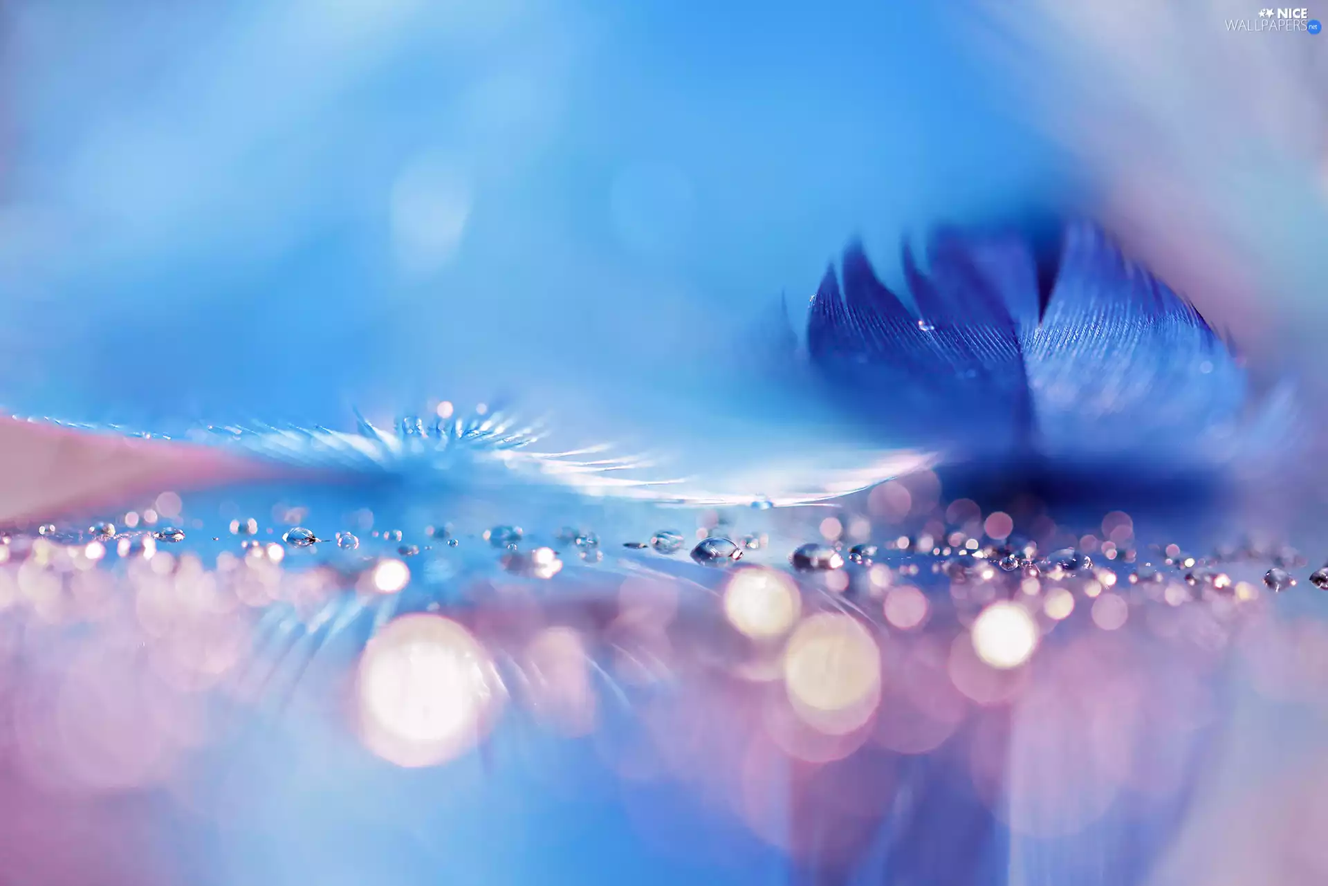 pen, Close, abstraction, drops