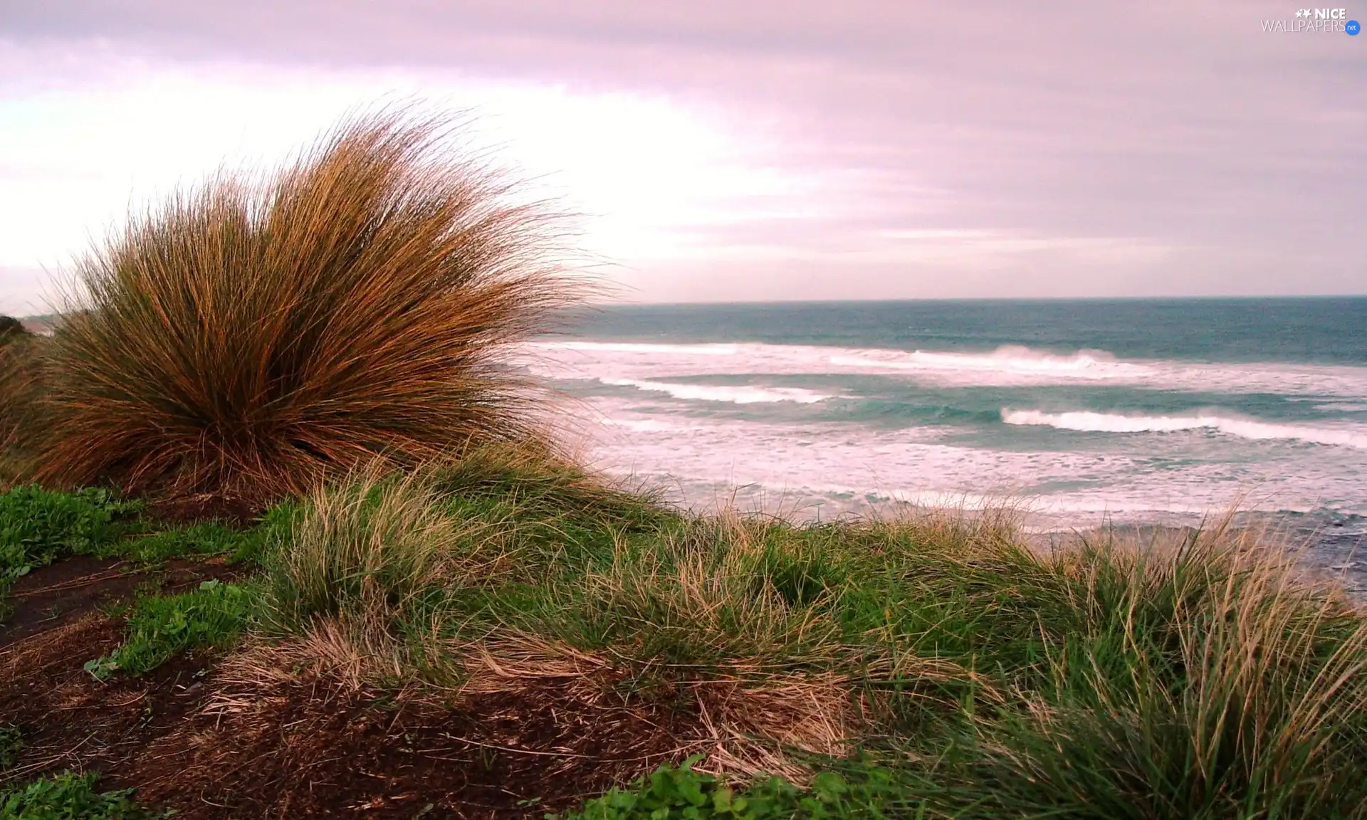 sea, grass, Dunes, Waves