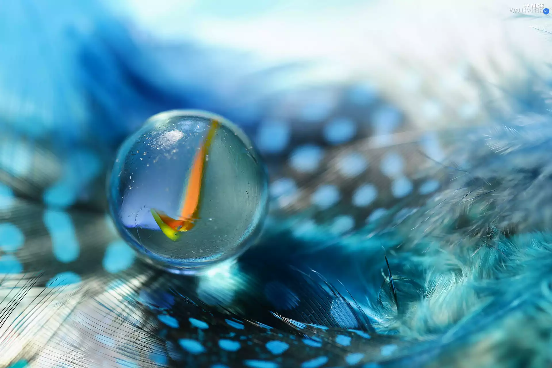 Orb, Blue, Close, Dunia, Glass, pen