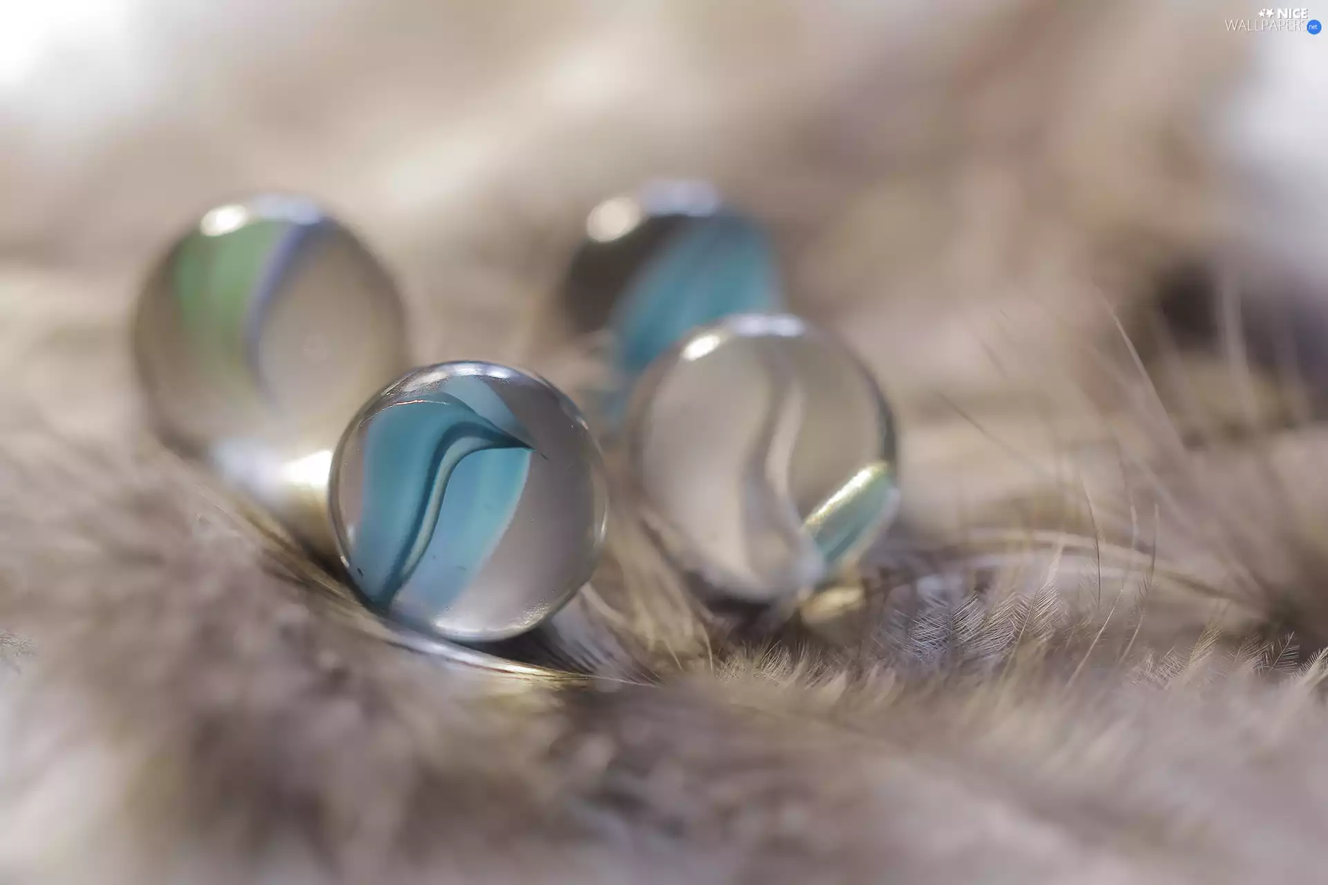 pen, Close, glass, Dunie, M&Ms balls