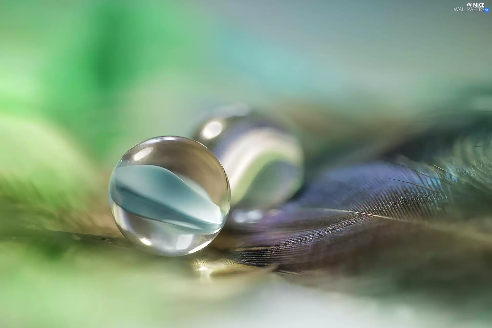 Close, pen, glass, Dunie, M&Ms balls