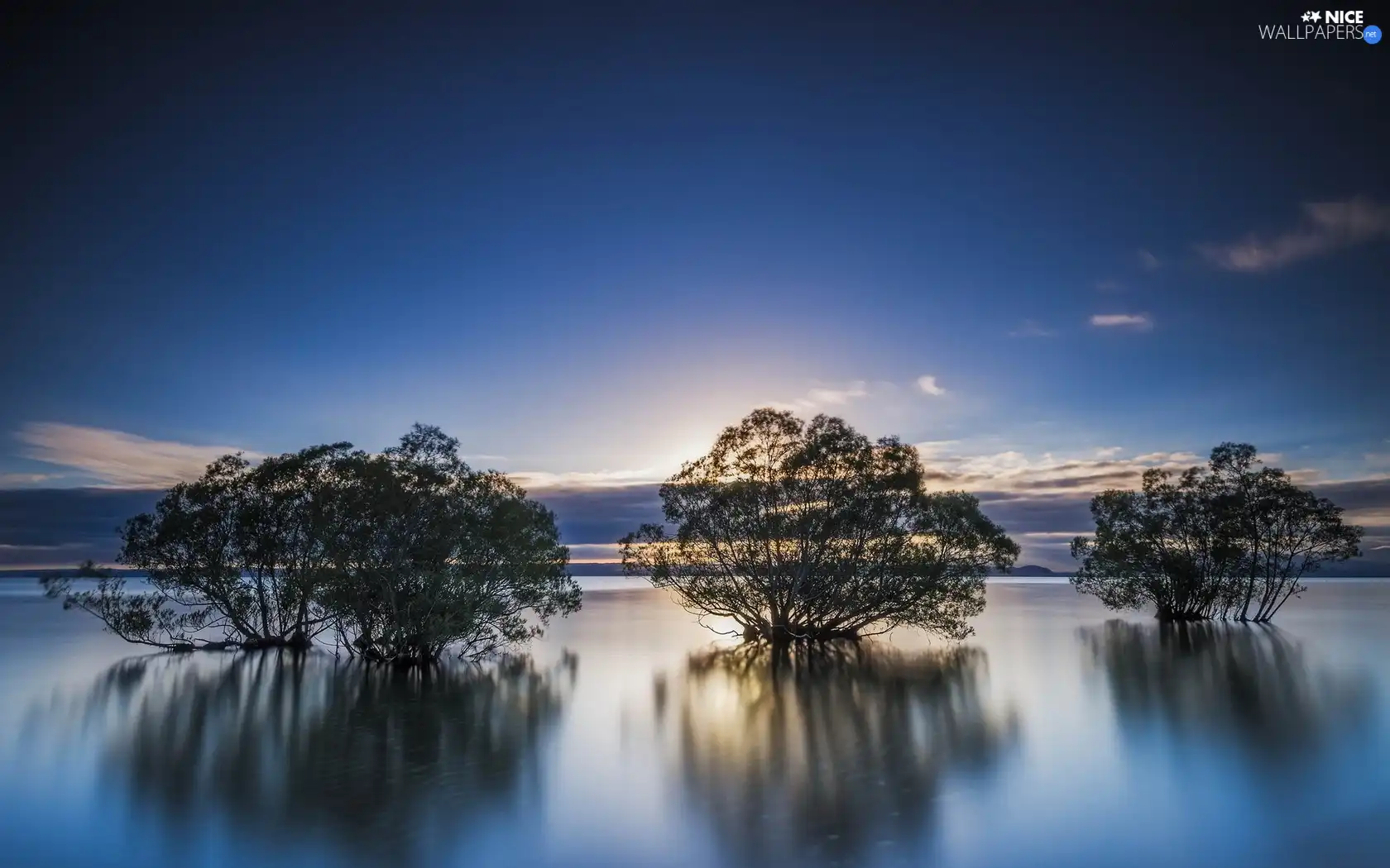 River, viewes, Dusk, trees