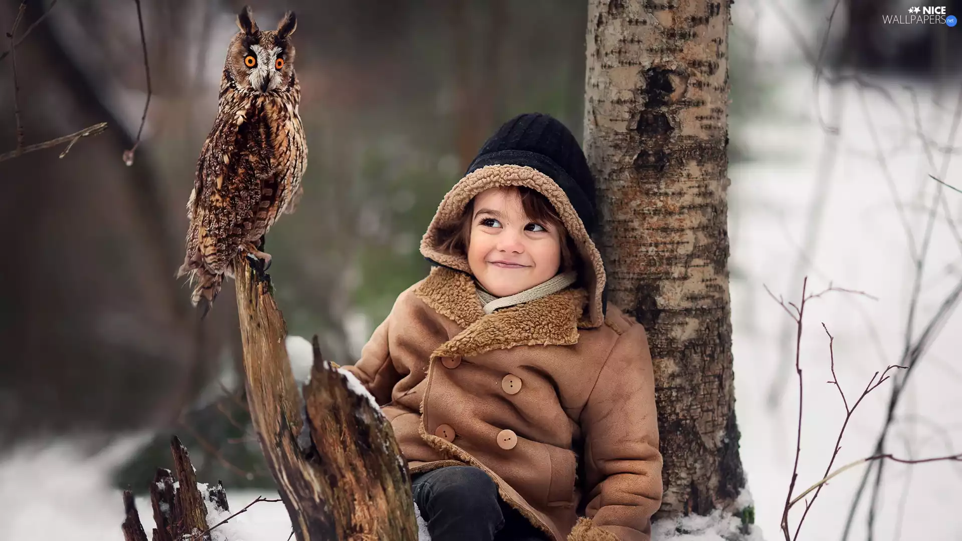 eagle-owl, Lod on the beach, Bird, owl, Kid