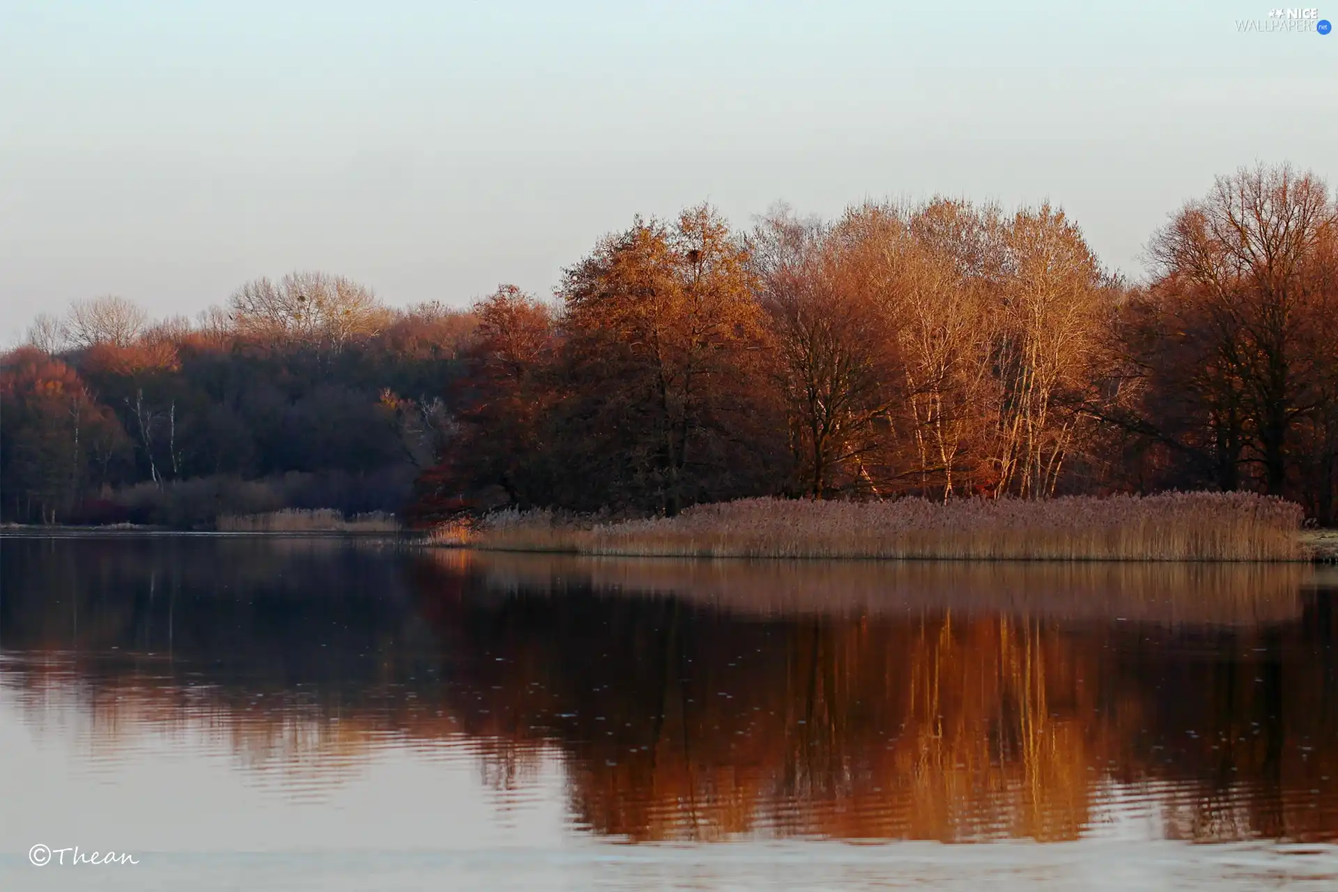 lake, viewes, early spring, trees