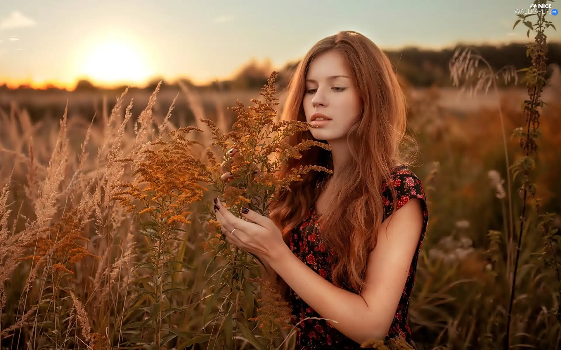 east, sun, Meadow, grass, girl