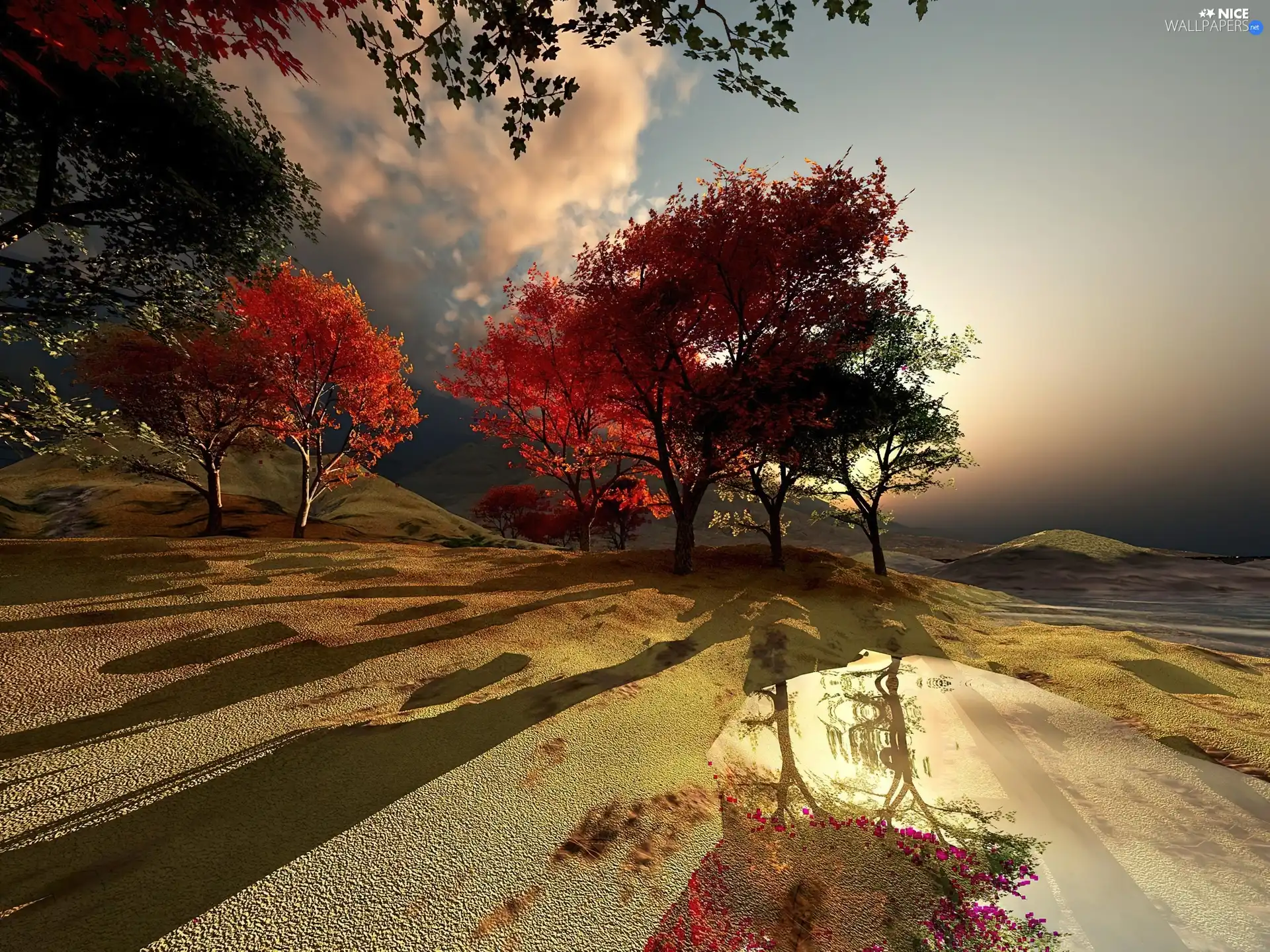 Sand, trees, east, sun, shadow, viewes