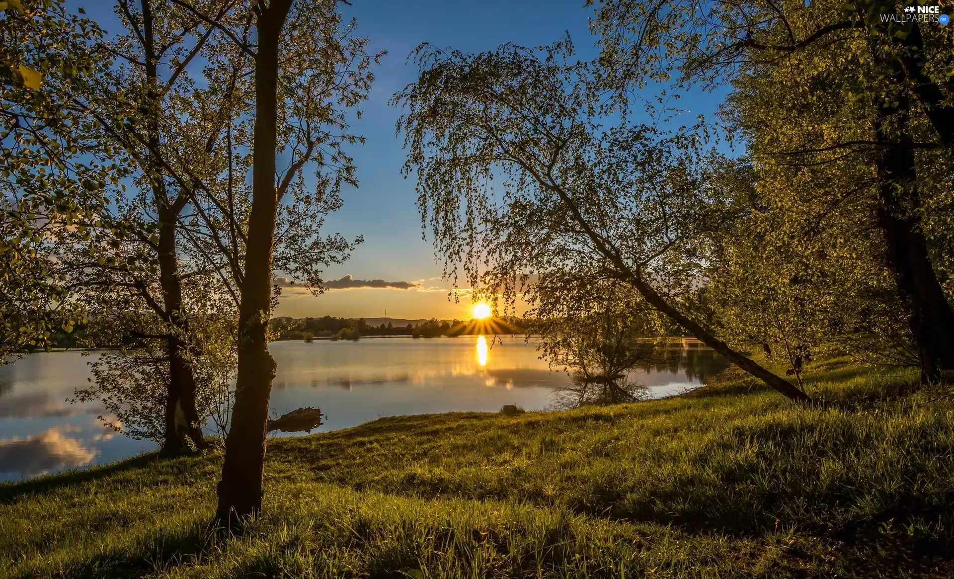 sun, lake, Trees. East