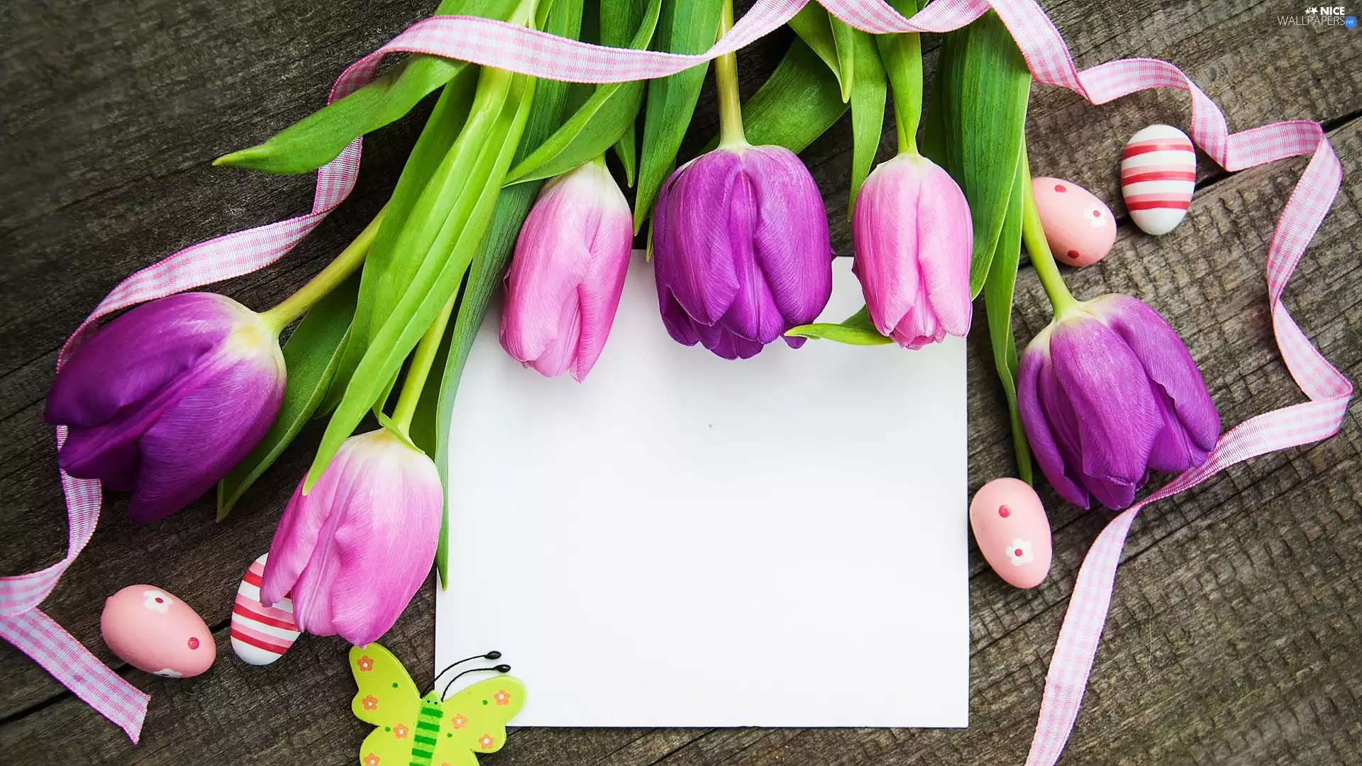 ribbon, Easter, card, eggs, Tulips