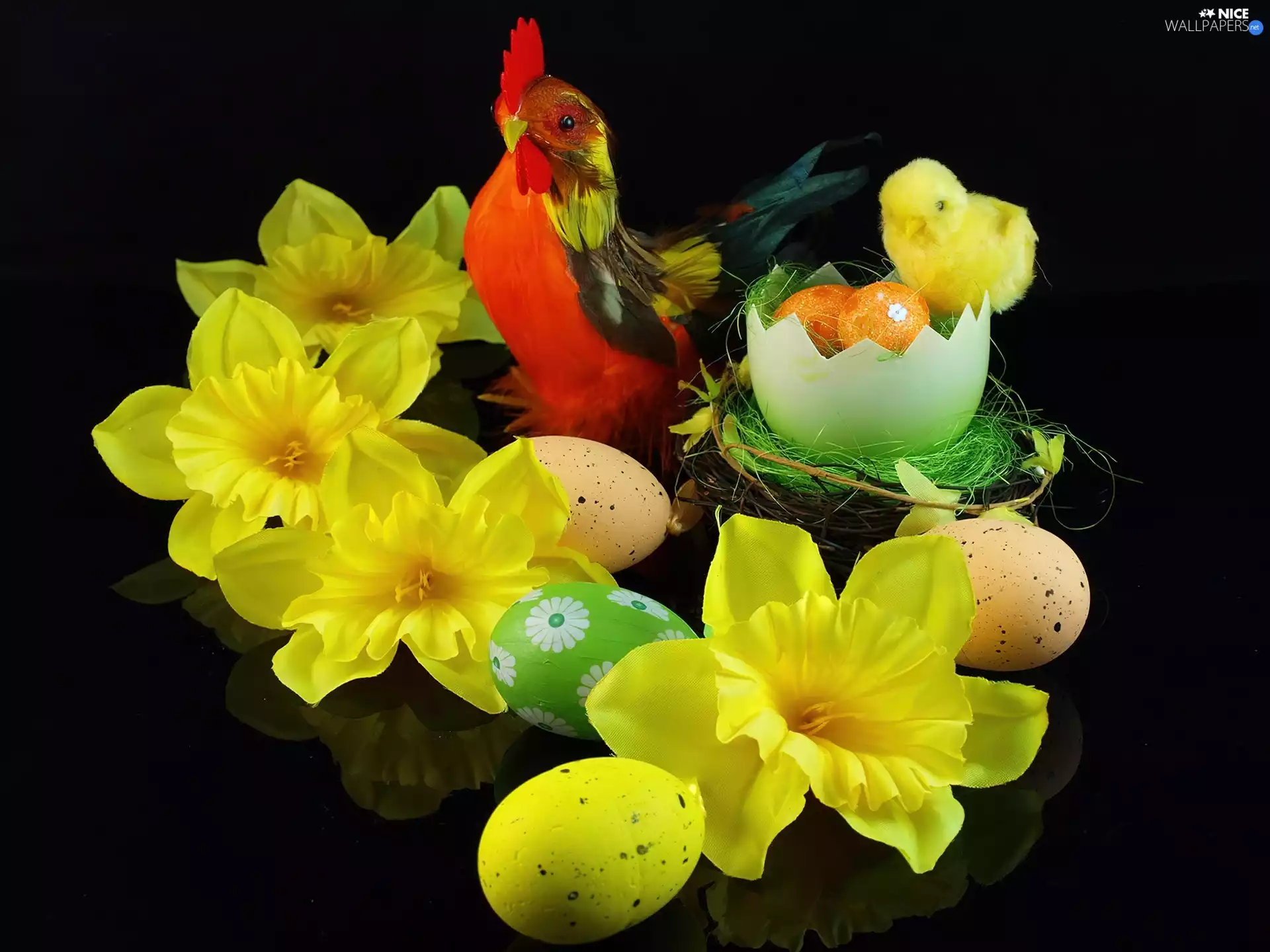 decoration, Easter, cocking, chicken, eggs