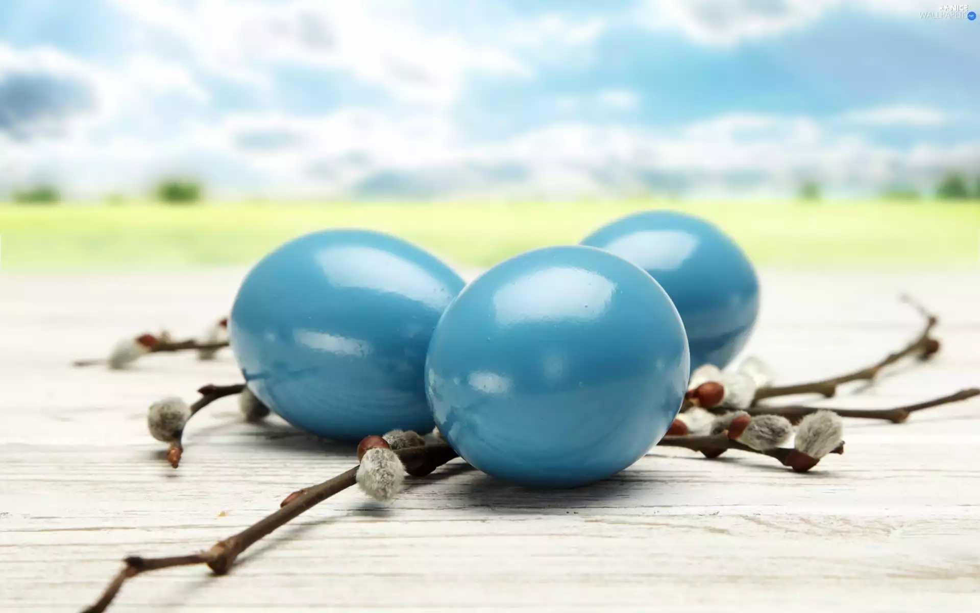 Easter, eggs, database