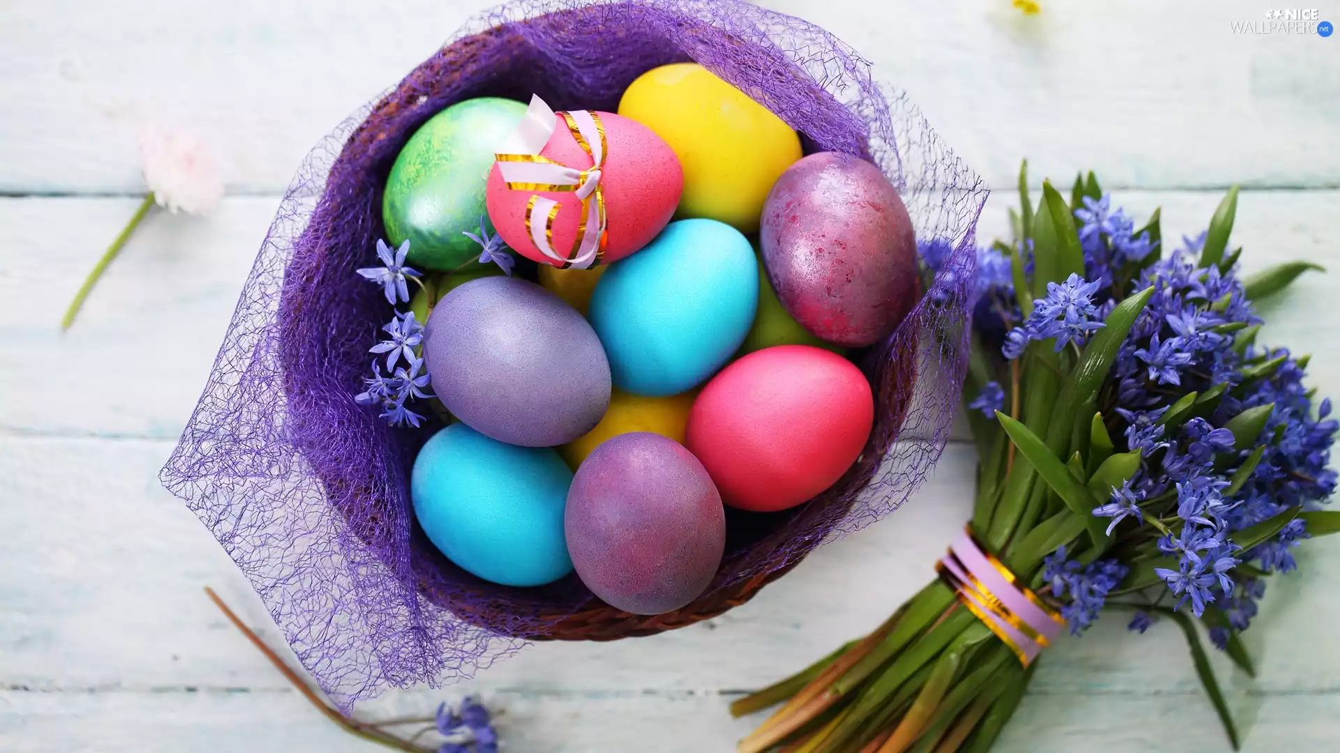 Blue, basket, squill, Easter, Flowers, eggs