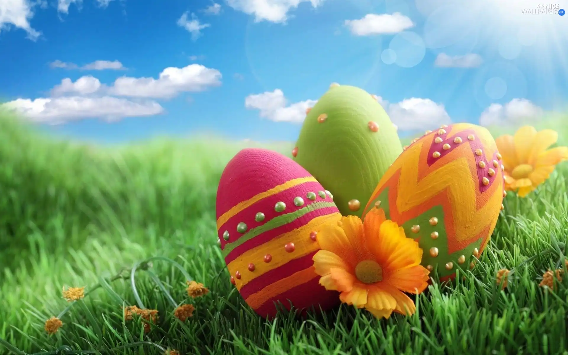 Sky, eggs, easter, grass