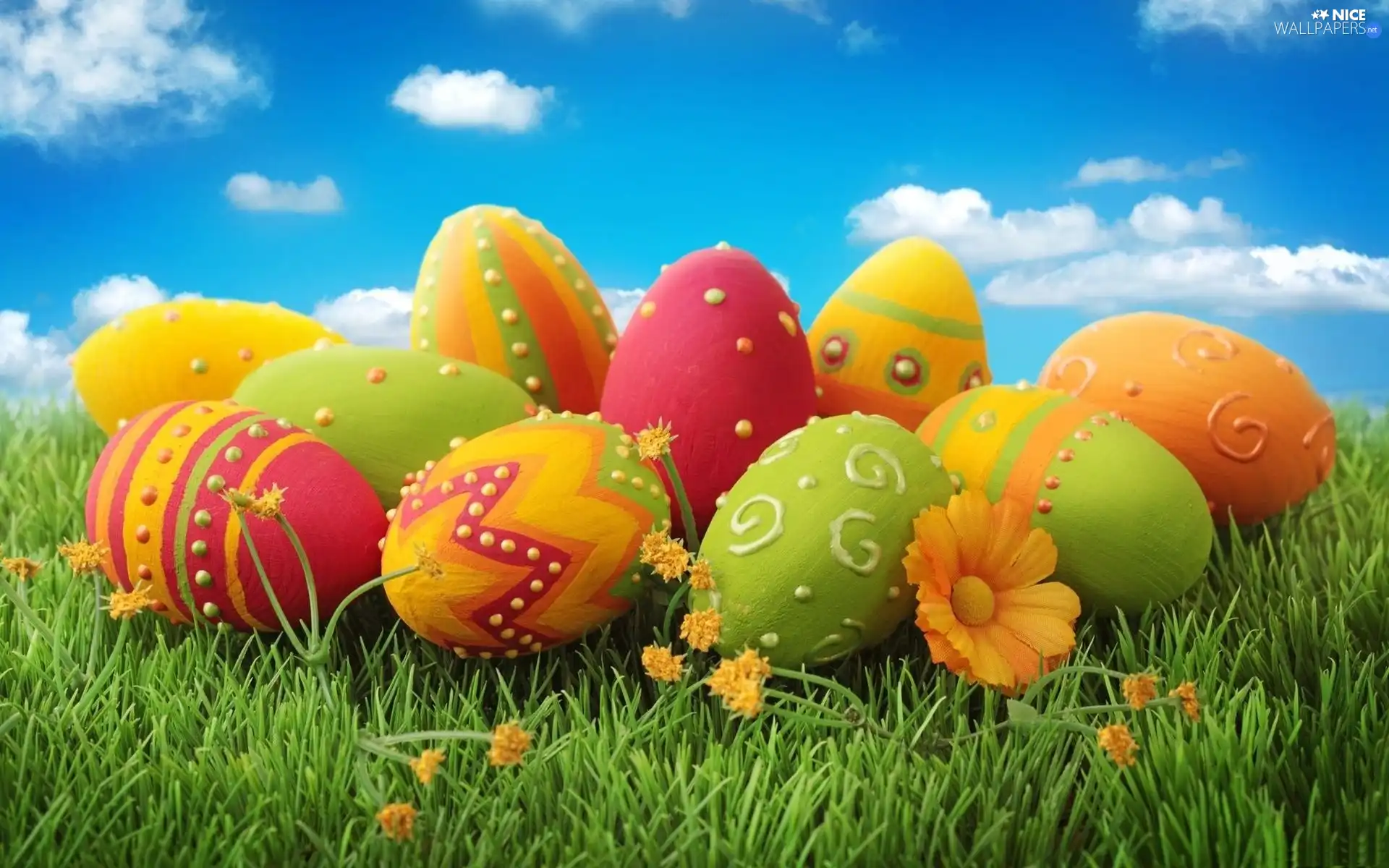 Sky, eggs, easter, grass