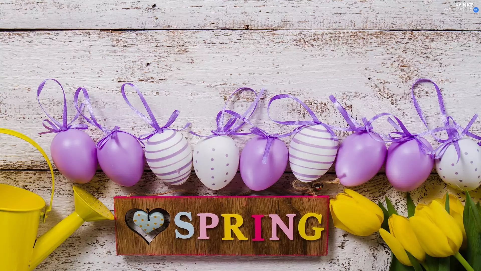 Tulips, eggs, Spring, watering can, composition, text, Easter