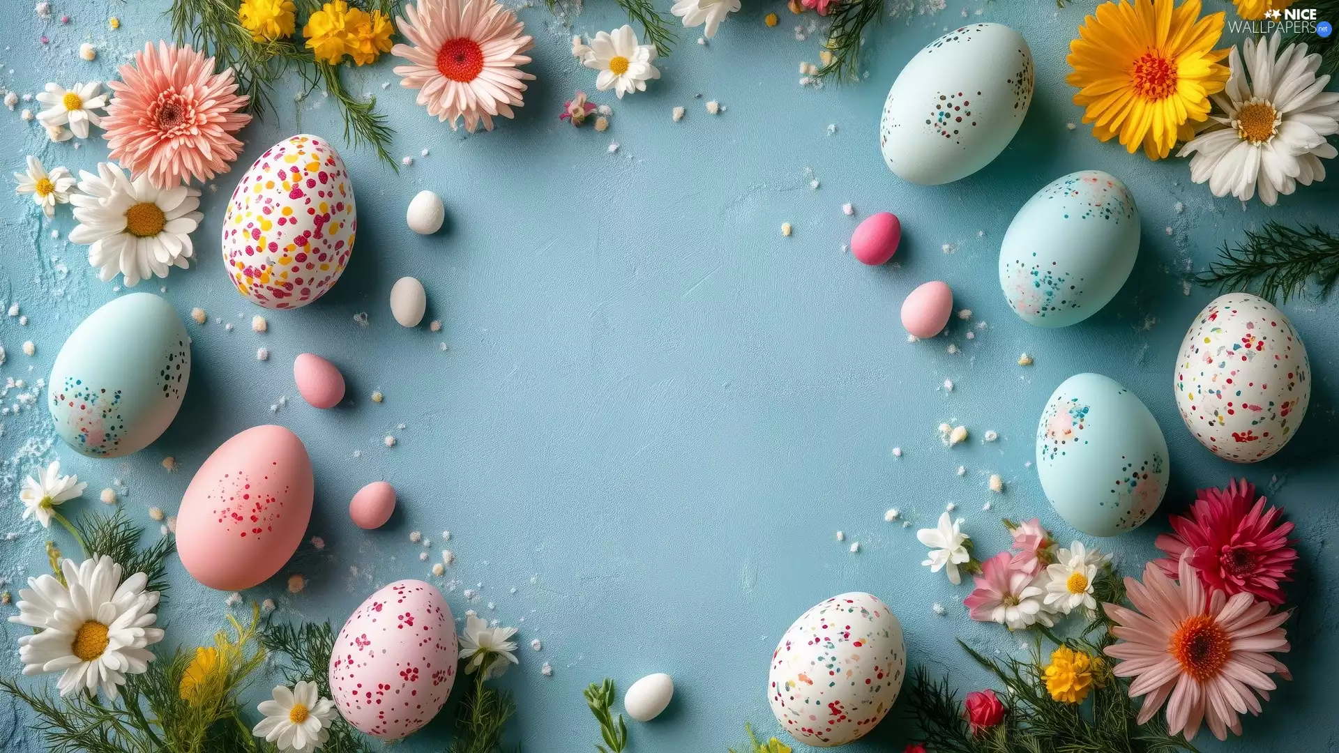 color, color, Blue, eggs, Easter, Flowers, background