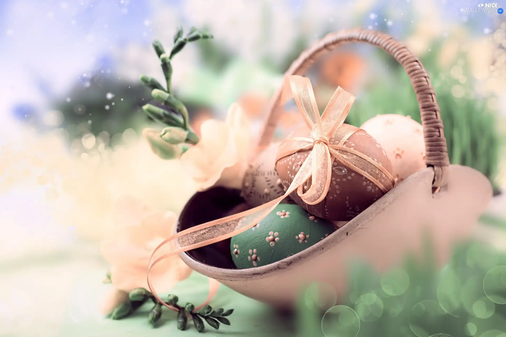 ribbon, basket, Buds, eggs, Easter, Twigs, freesia