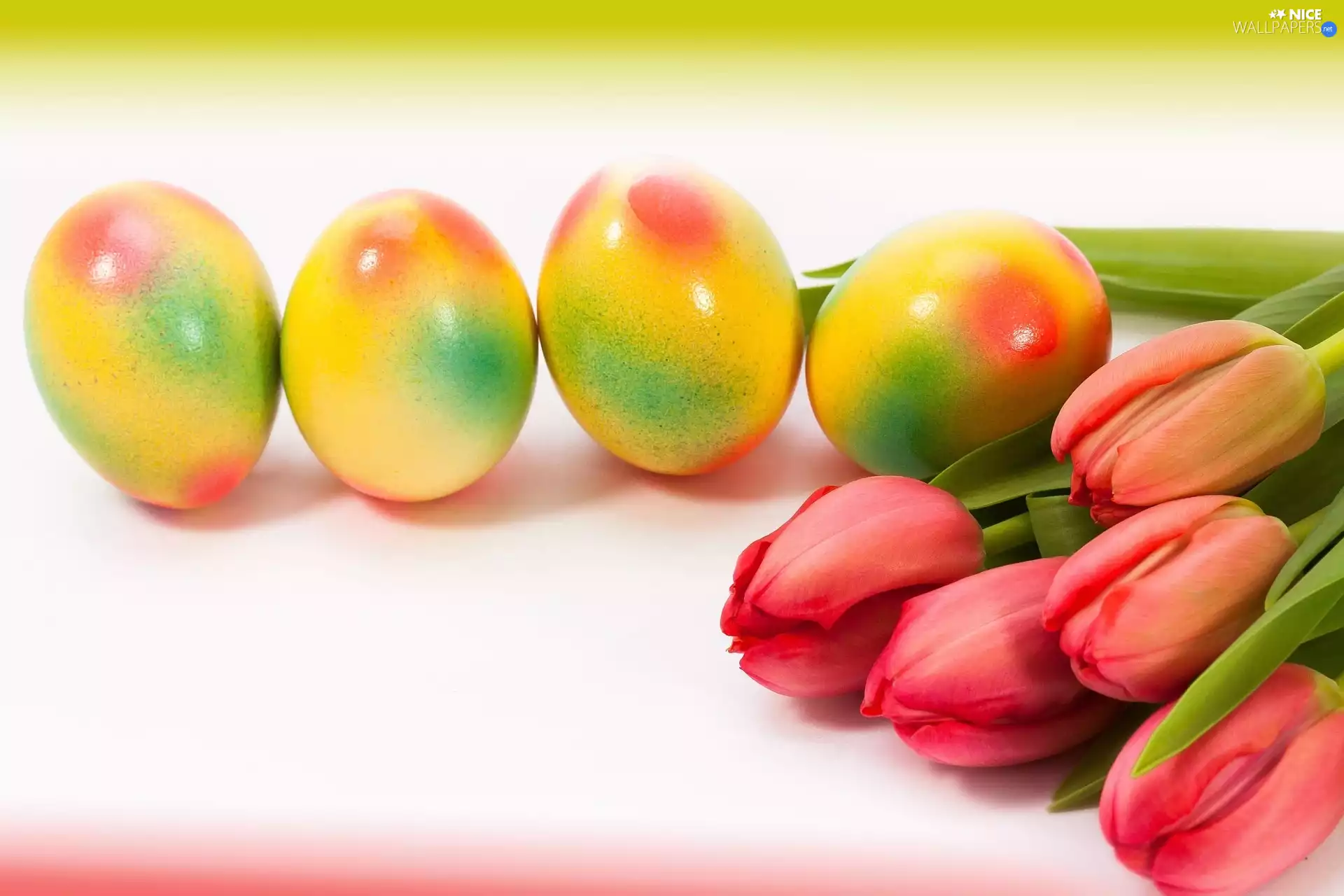 color, Tulips, Easter, eggs