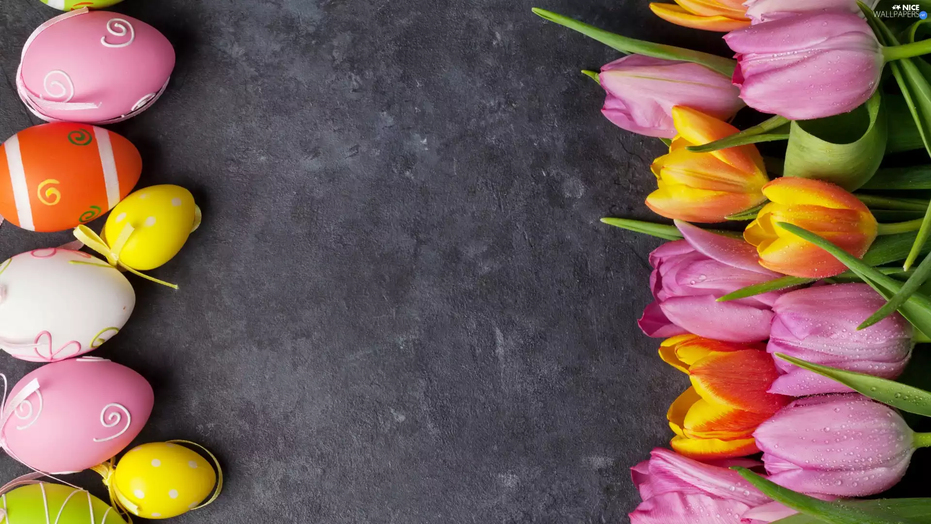 Tulips, Grey Background, eggs, color, Easter