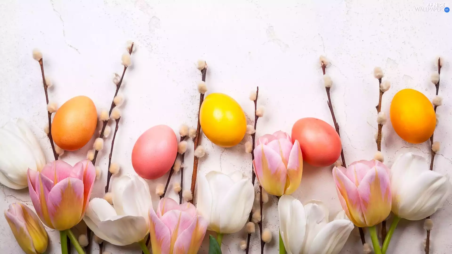 Easter, Tulips, database, eggs