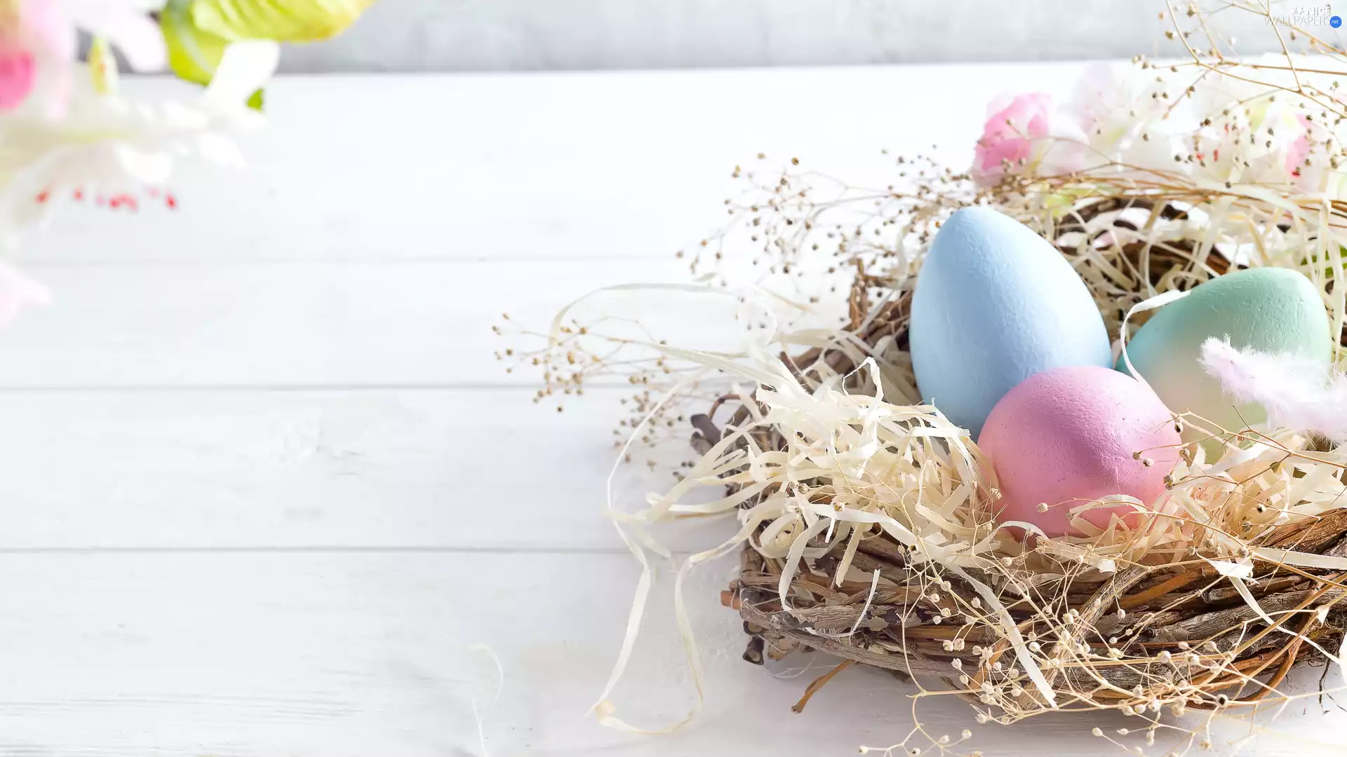 Easter, nest, Flowers, eggs