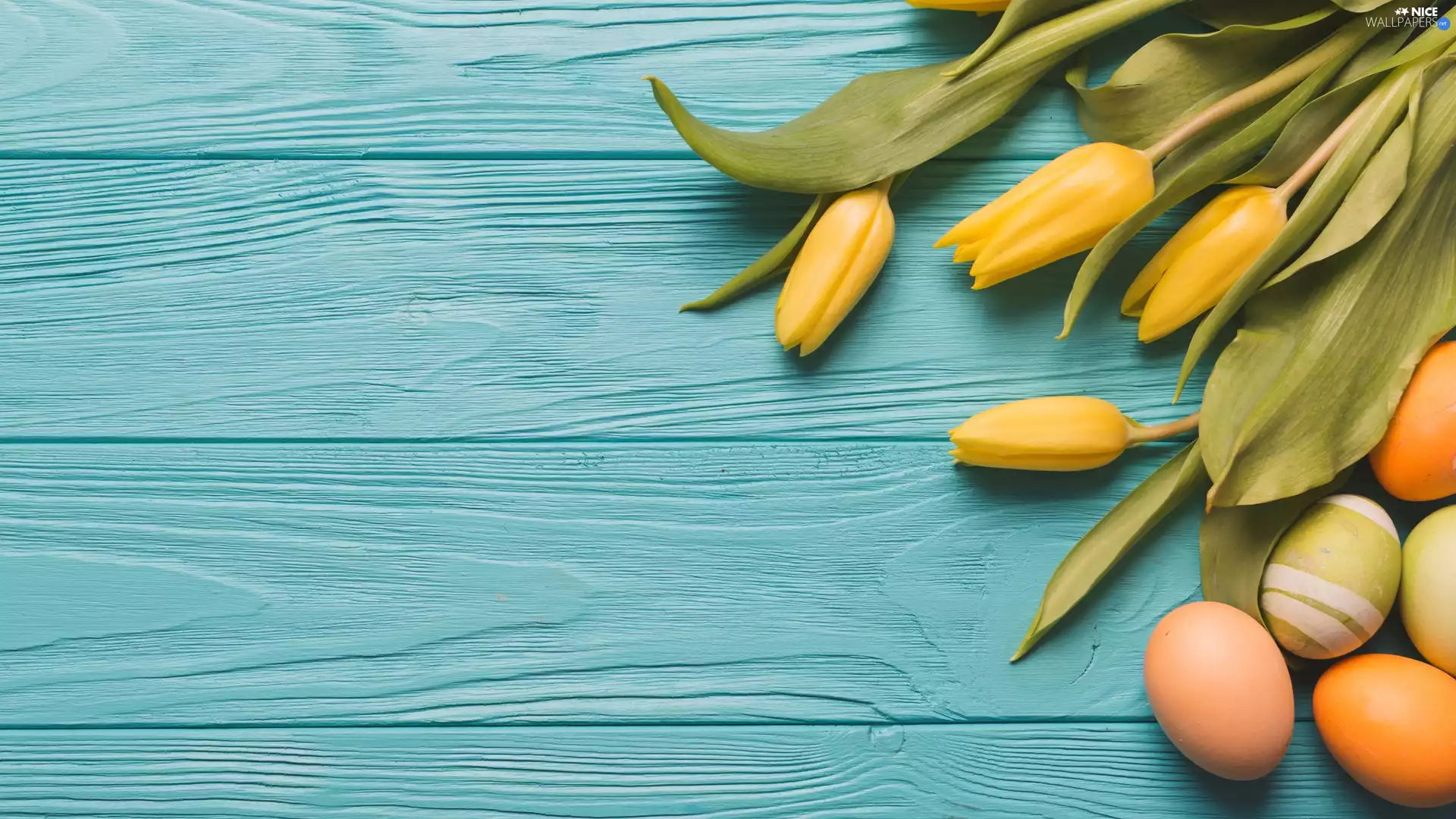 Tulips, eggs, Flowers, Yellow, Easter
