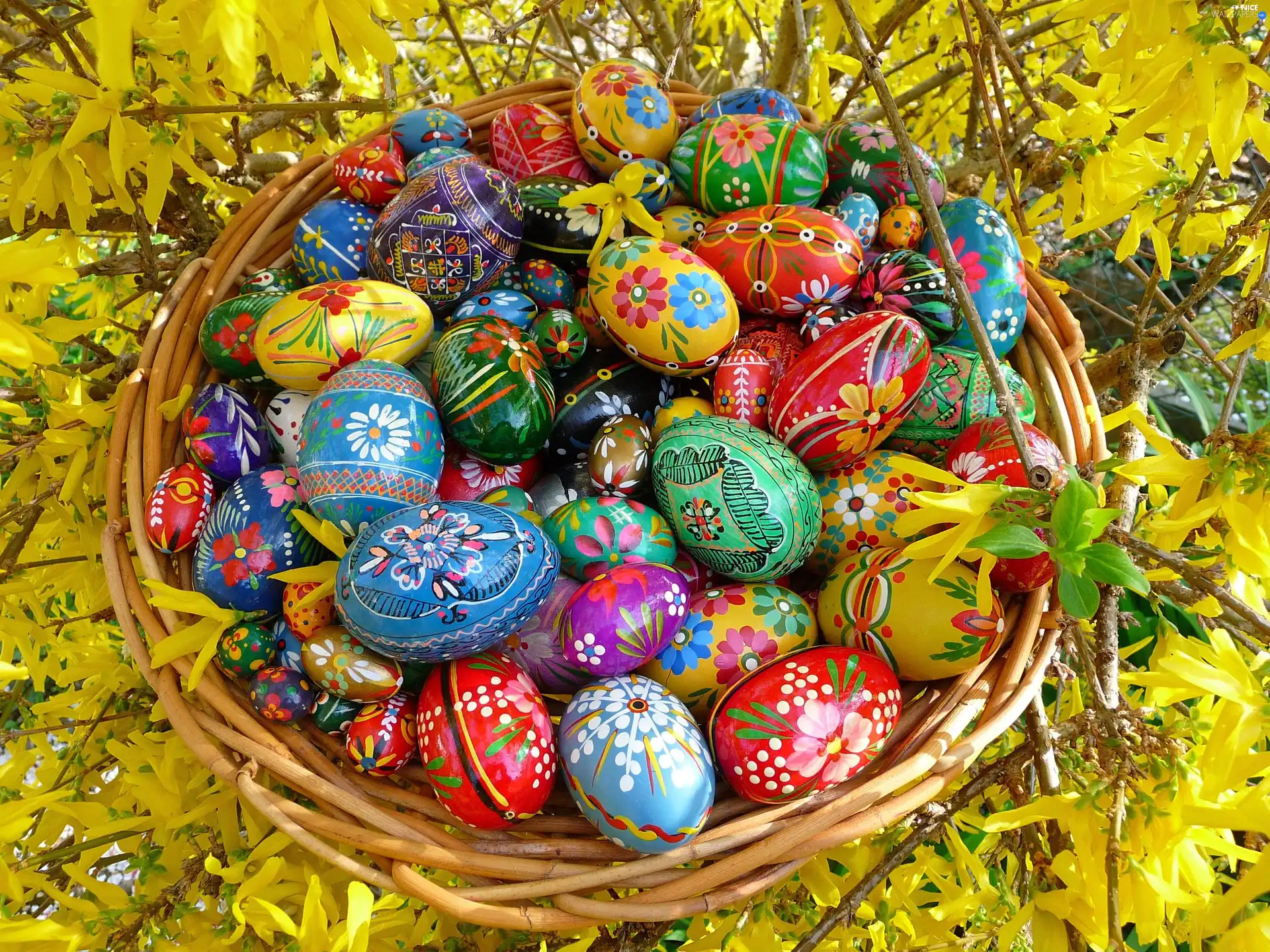 eggs, forsythia, basket, color, Easter