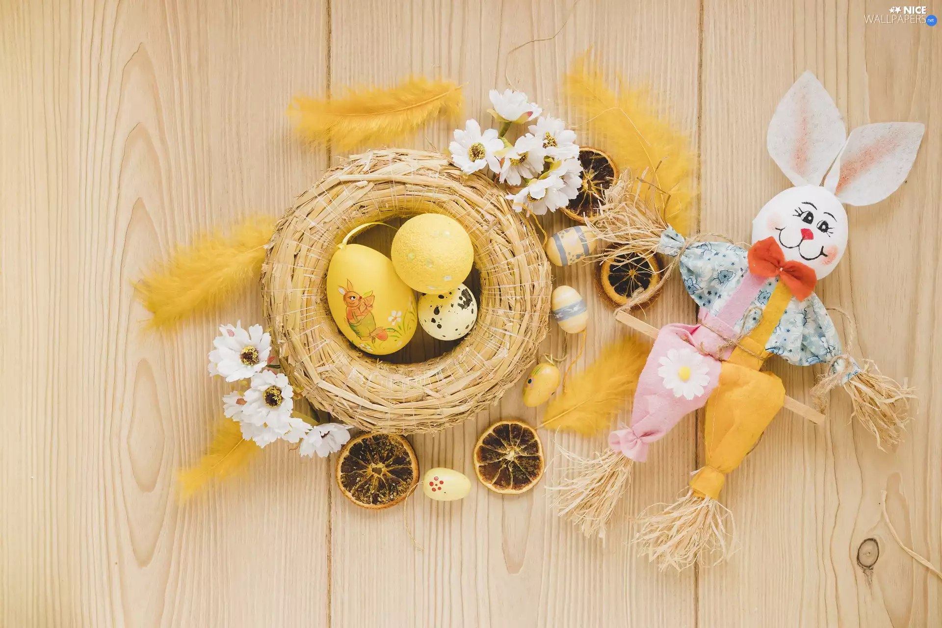 eggs, Easter, pen, Flowers, rag, rabbit, slices, orange, dry