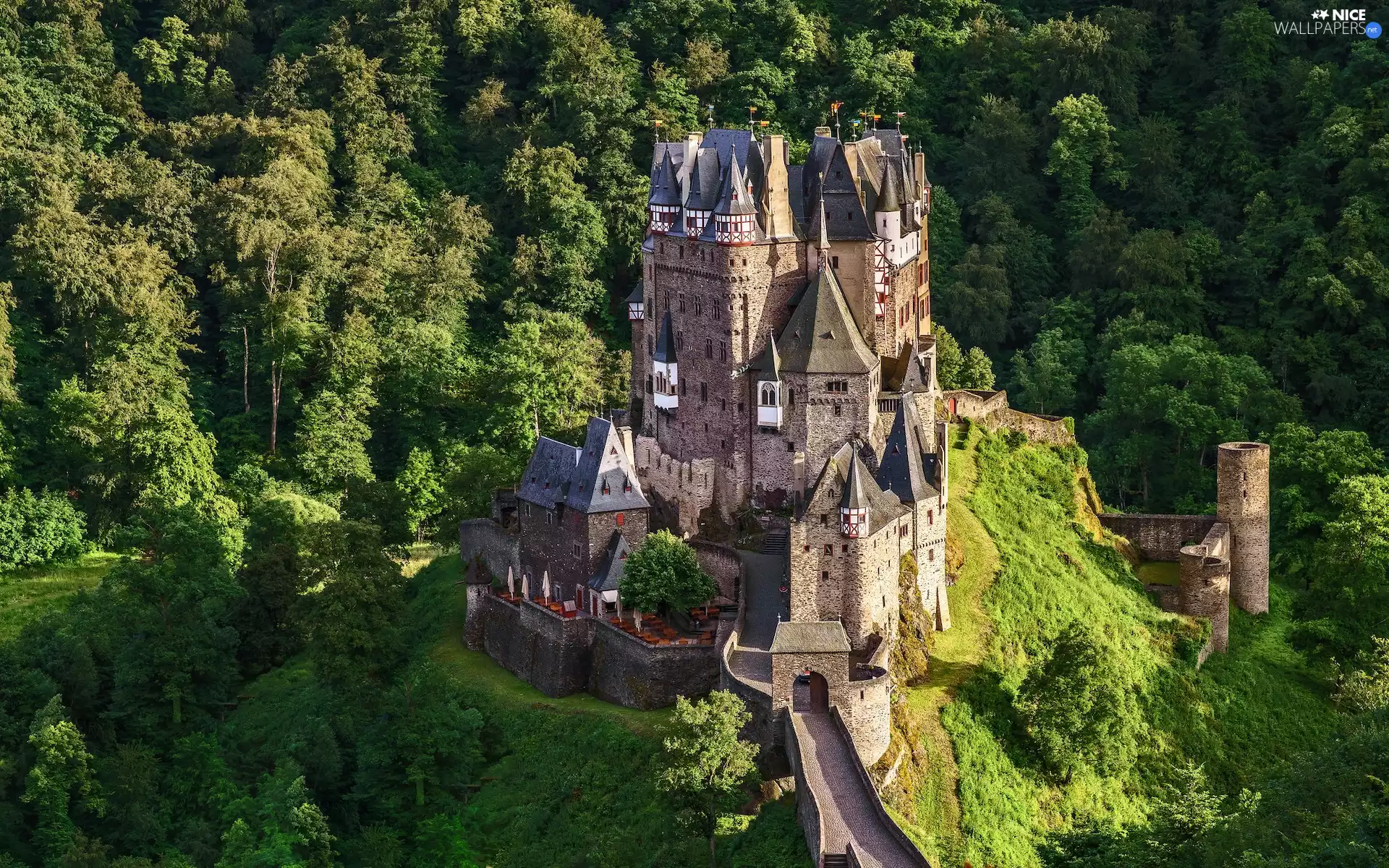 forest, green ones, Germany, trees, Municipality Wierschem, Eltz Castle, Eifel Mountains, viewes