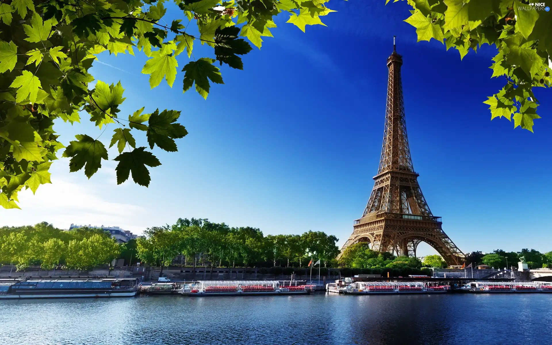 France, Eiffla Tower, Paris