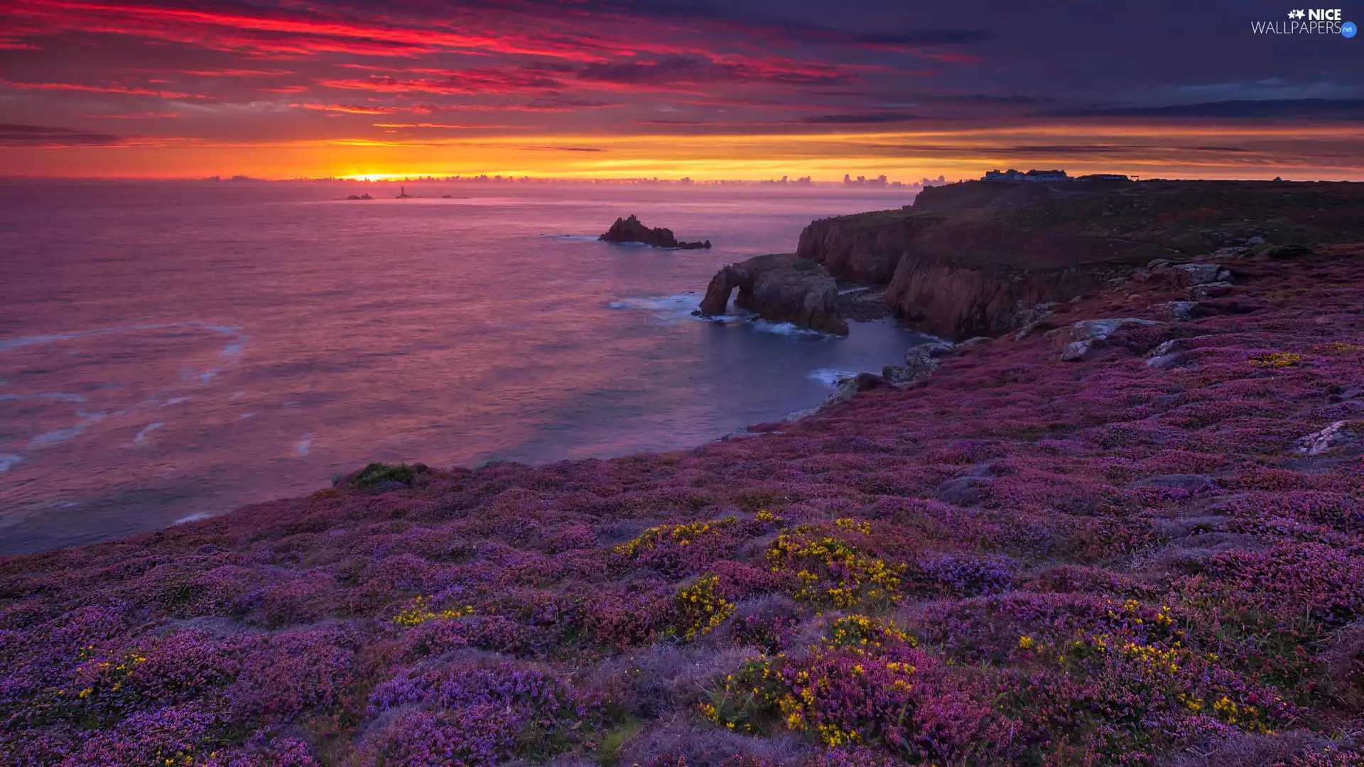 heath, Coast, Cornwall, England, rocks, Great Sunsets
